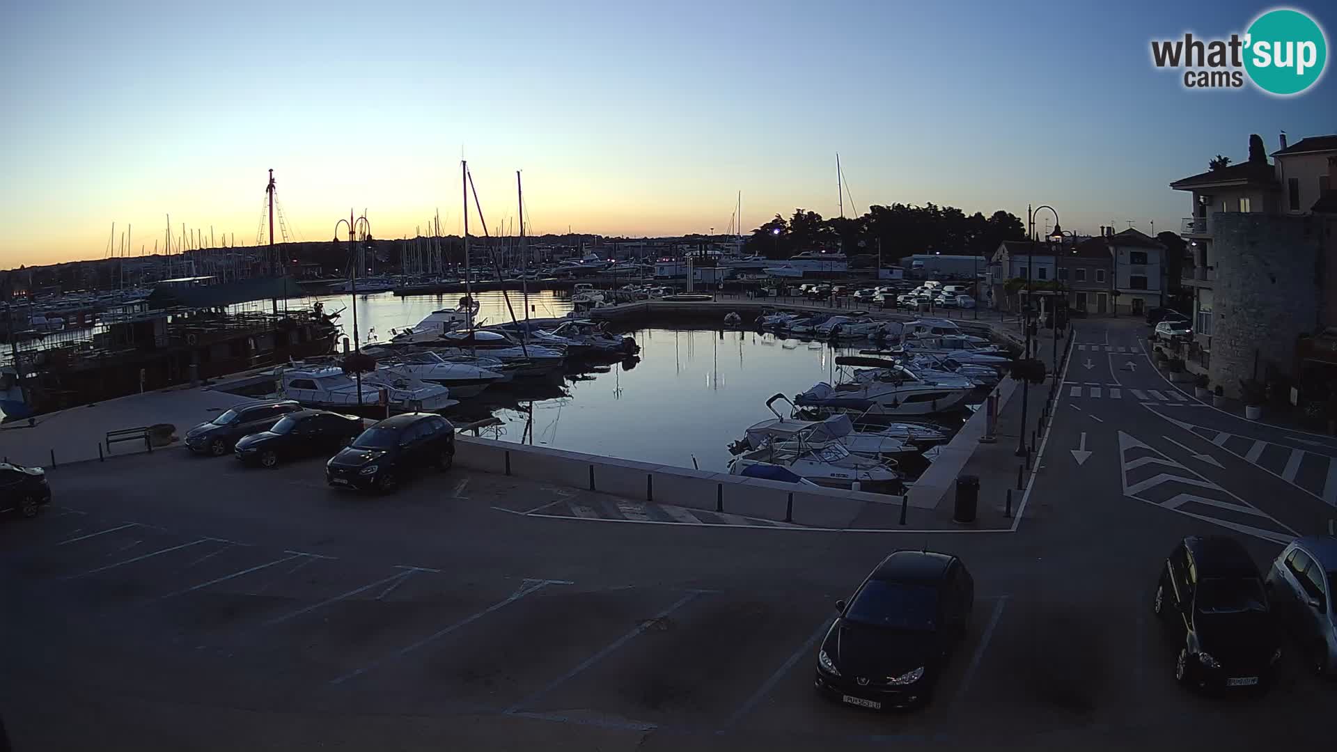 Novigrad | Porporela marina