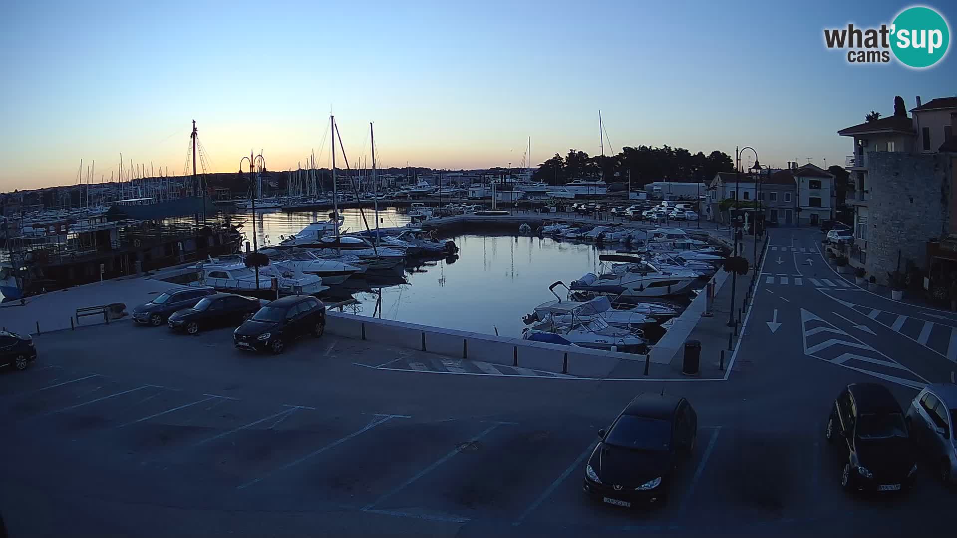 Novigrad | Porporela marina