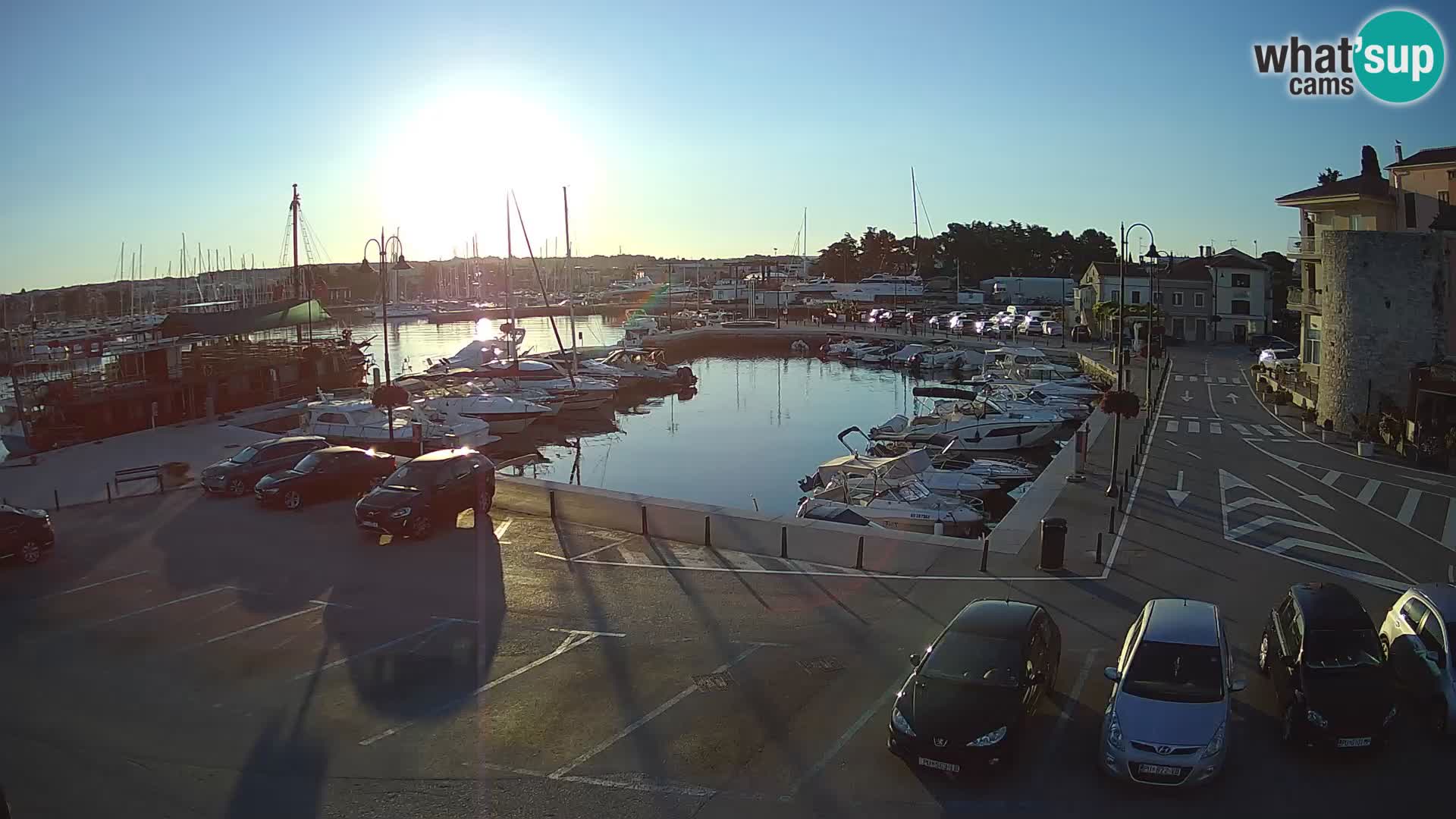 Novigrad | Porporela marina