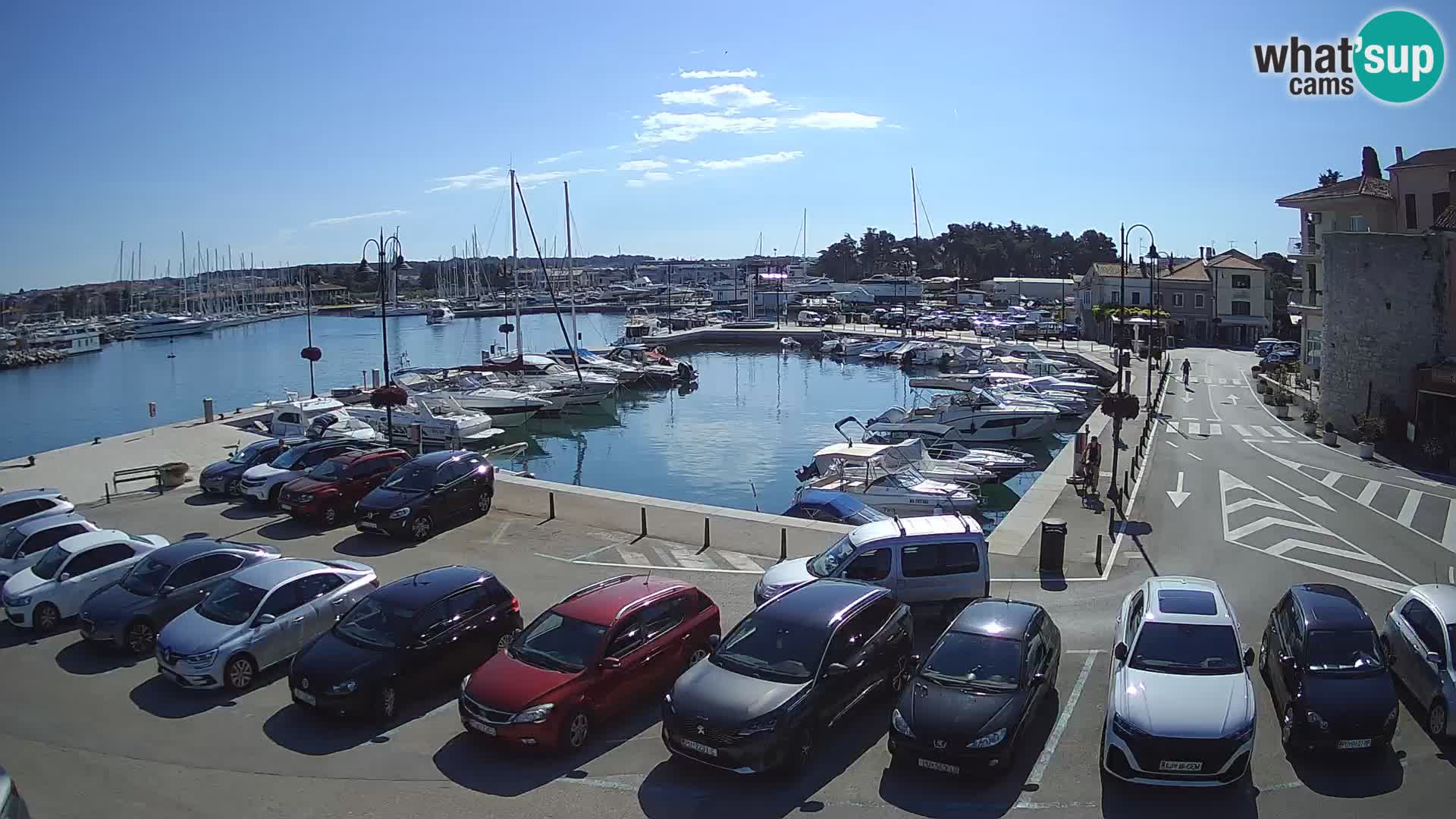 Novigrad | Porporela marina