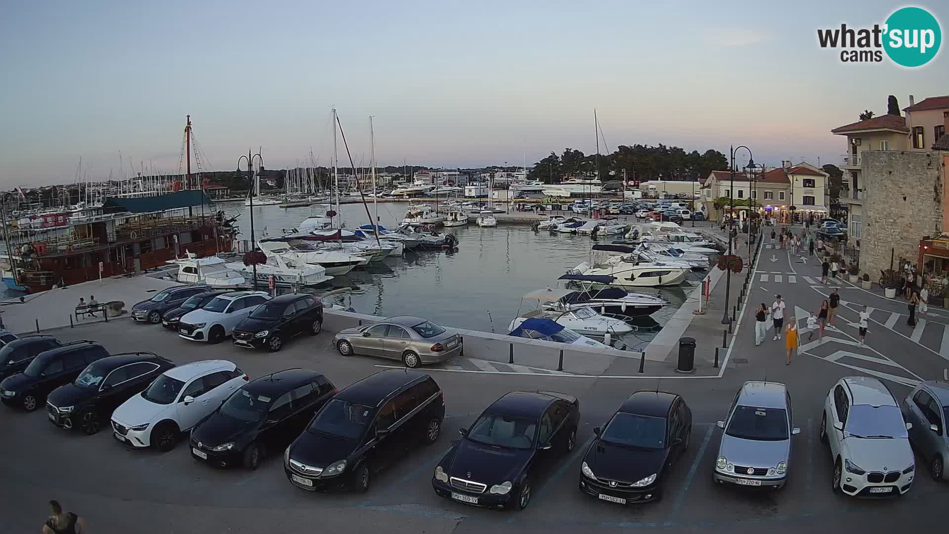 Novigrad | Porporela marina