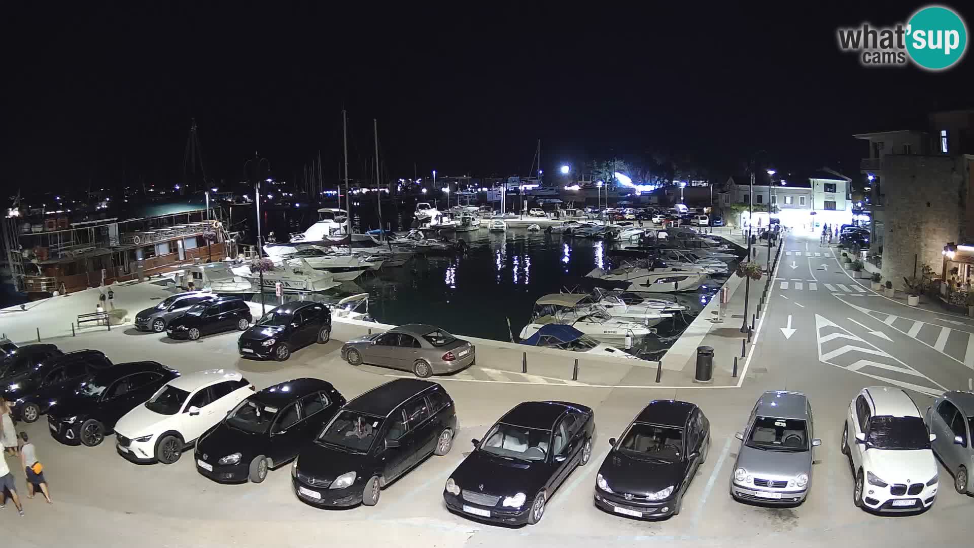 Novigrad | Porporela marina