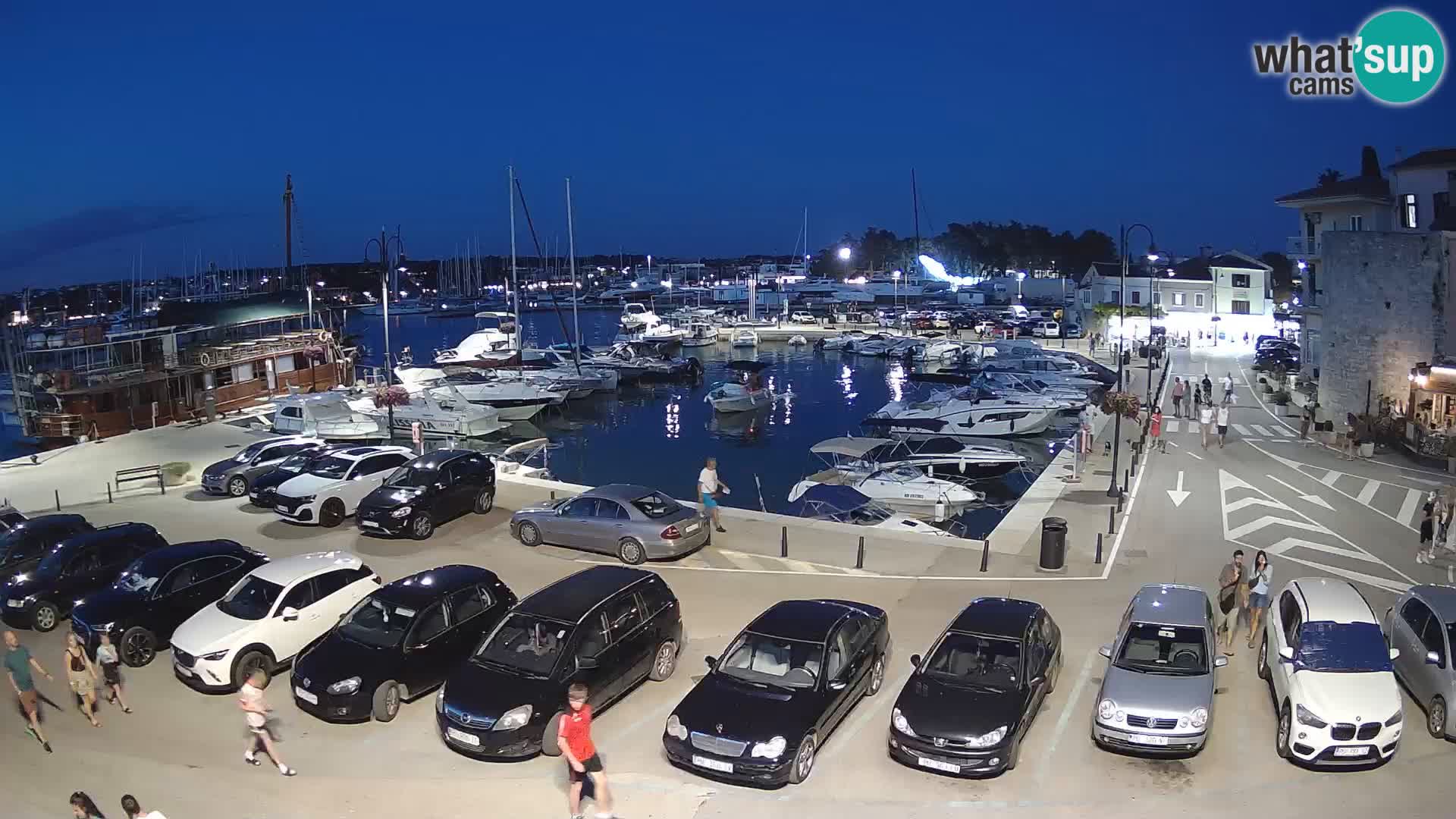 Novigrad | Porporela marina