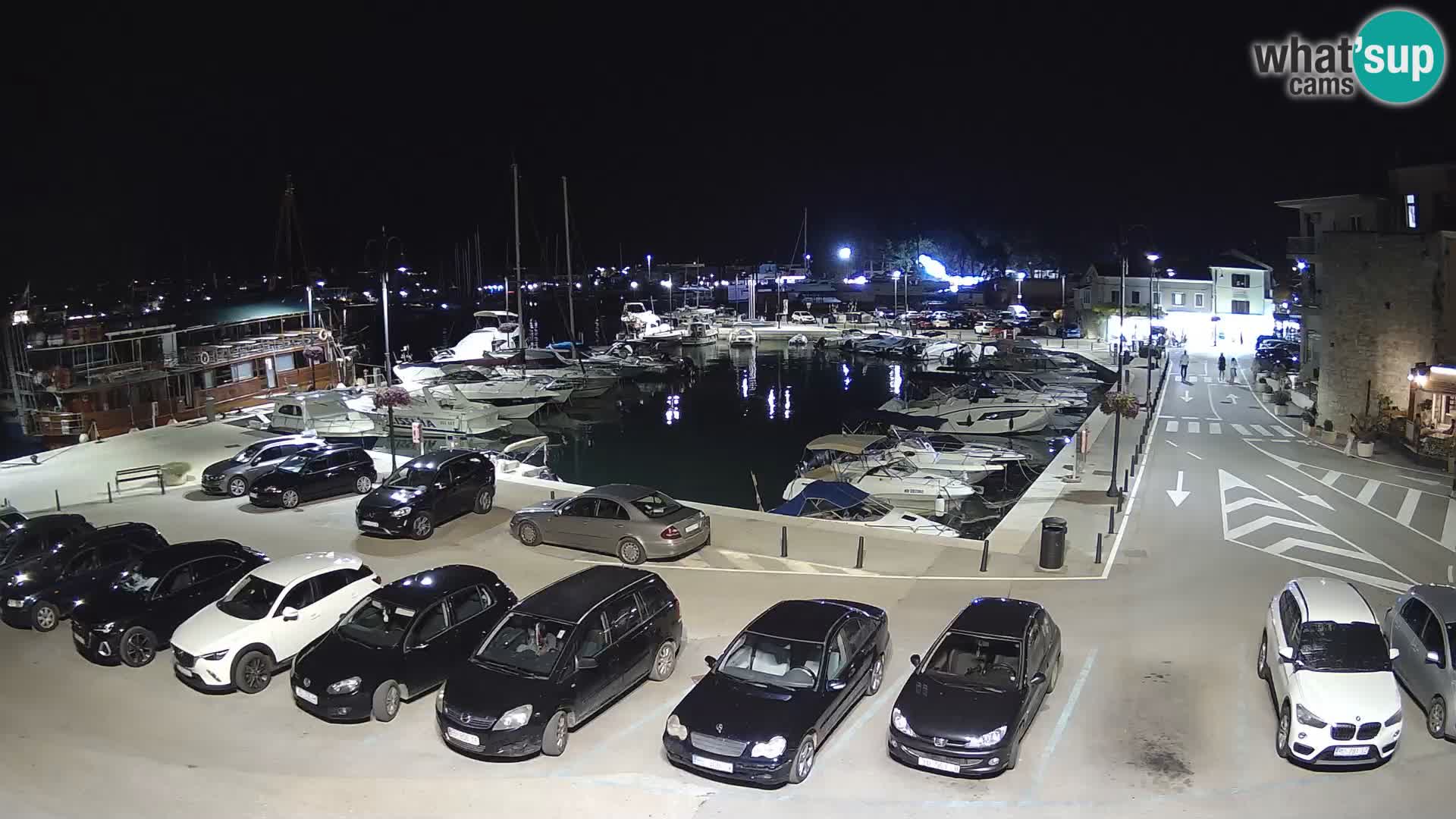 Novigrad | Porporela marina