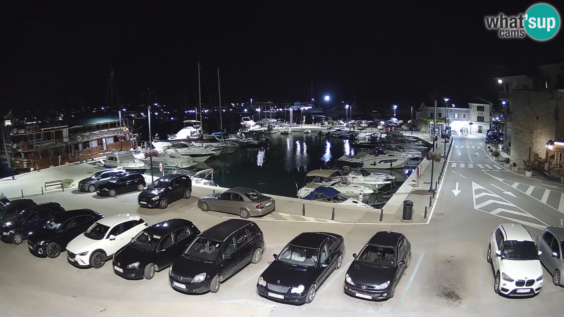 Novigrad | Porporela marina
