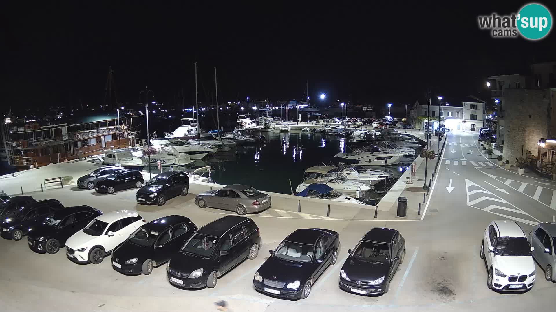 Novigrad | Porporela marina