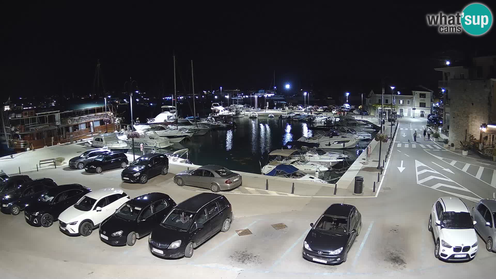 Novigrad | Porporela marina
