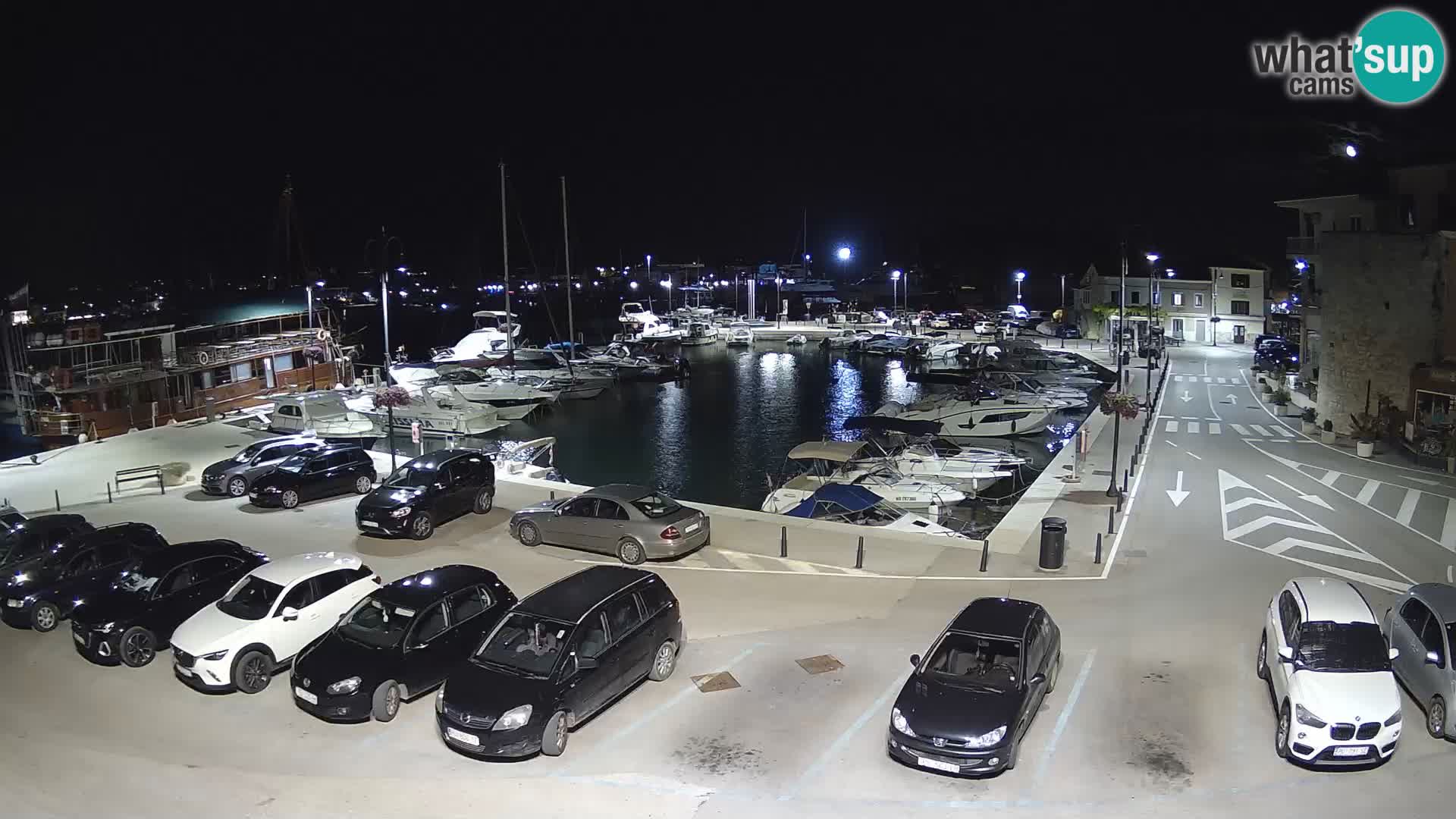 Novigrad | Porporela marina