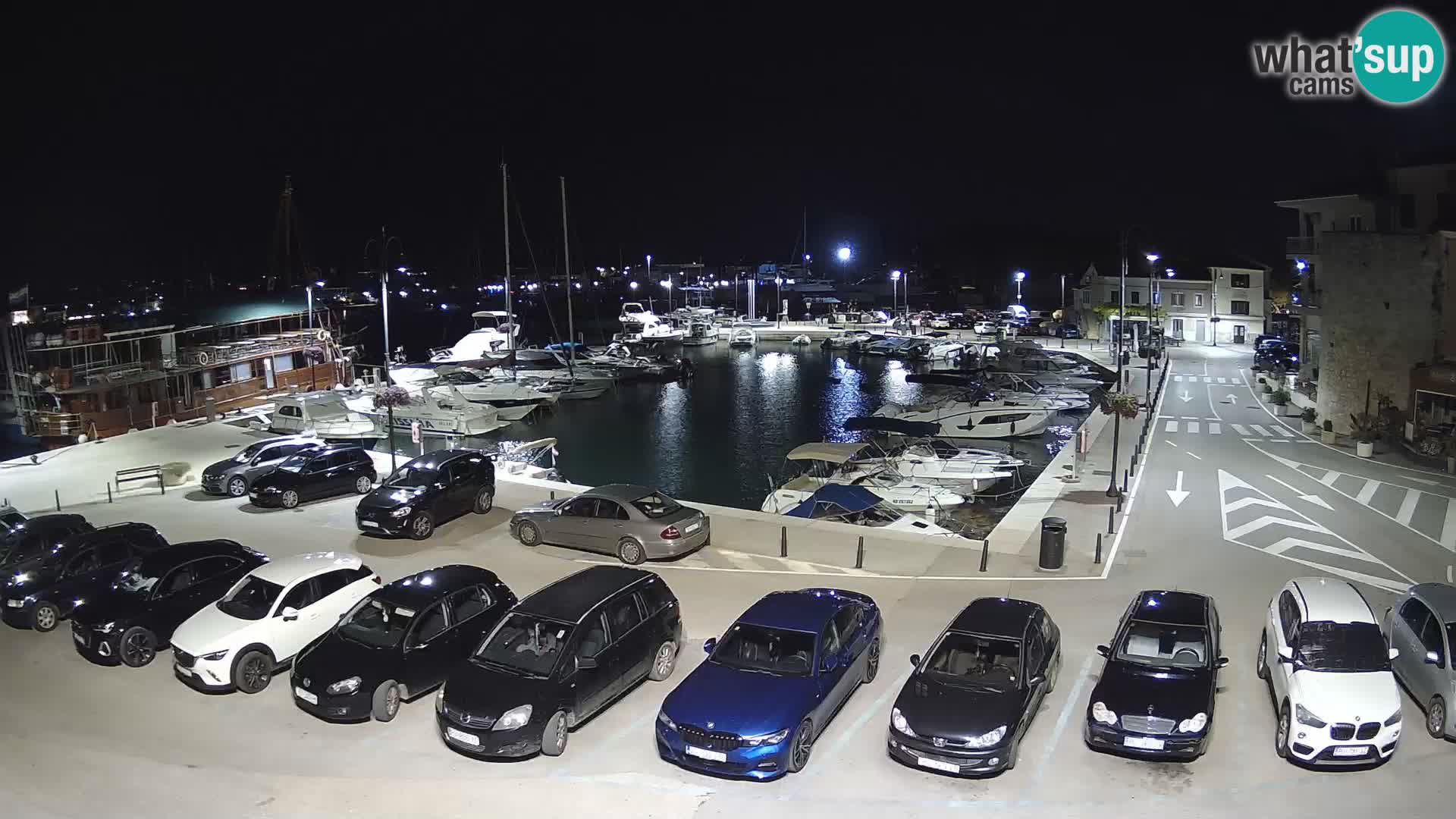 Novigrad | Porporela marina