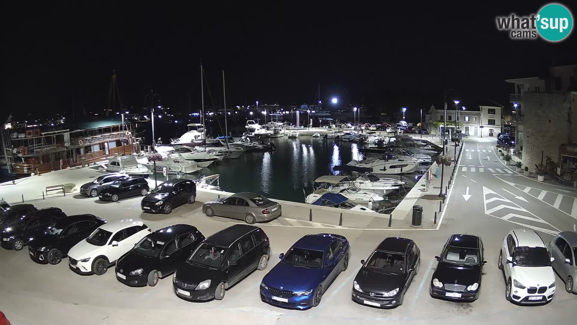 Novigrad | Porporela marina