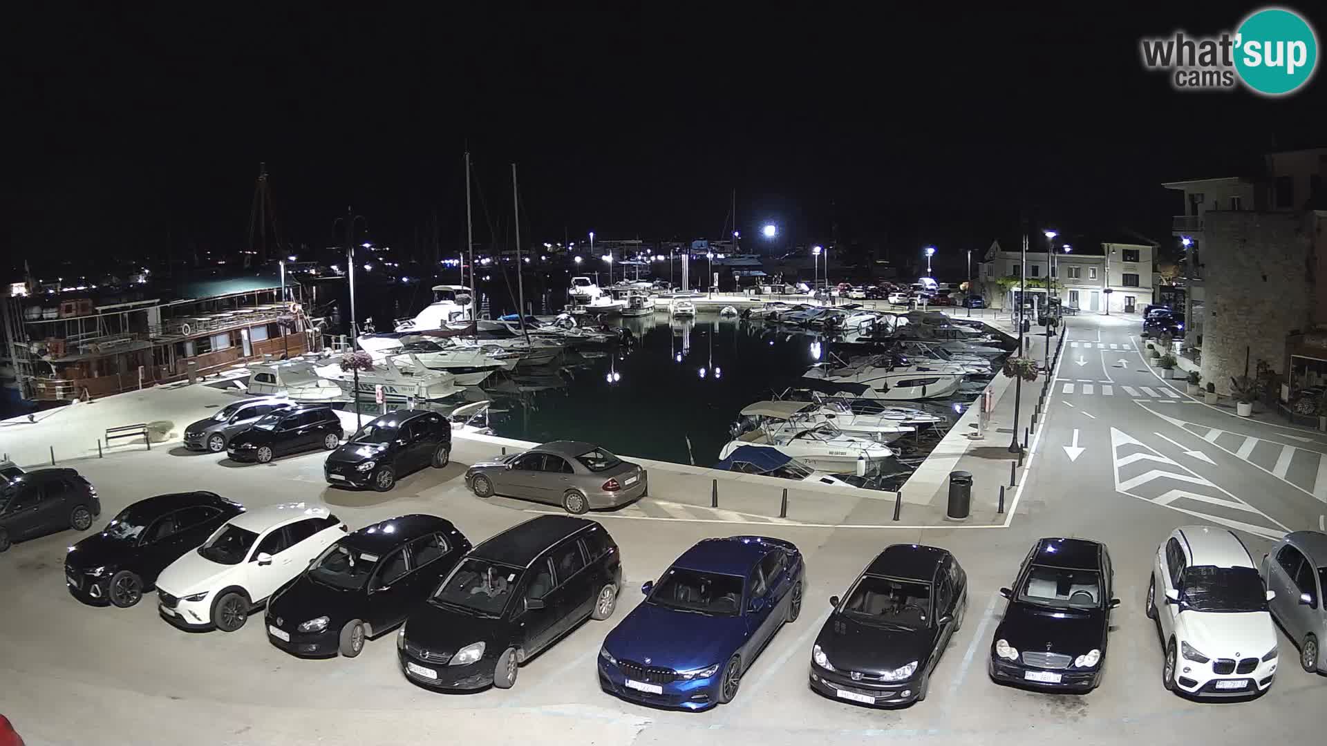 Novigrad | Porporela marina