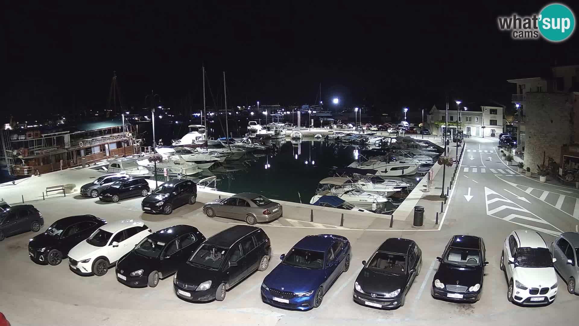 Novigrad | Porporela marina