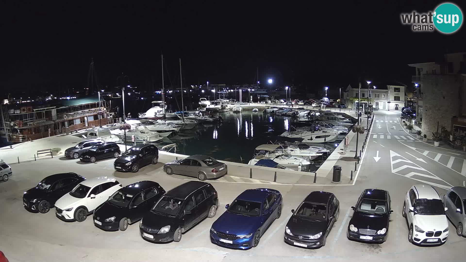 Novigrad | Porporela marina