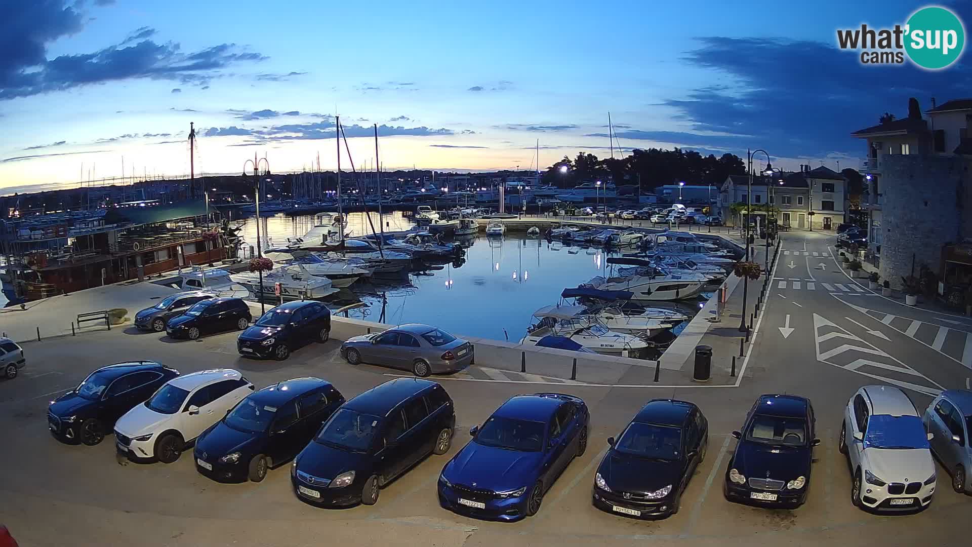 Novigrad | Porporela marina