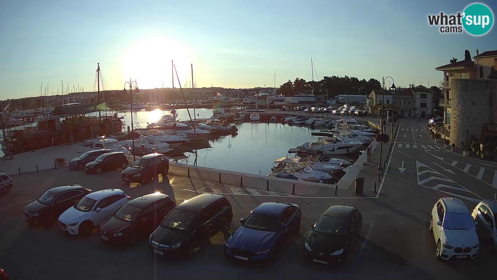 Novigrad | Porporela marina