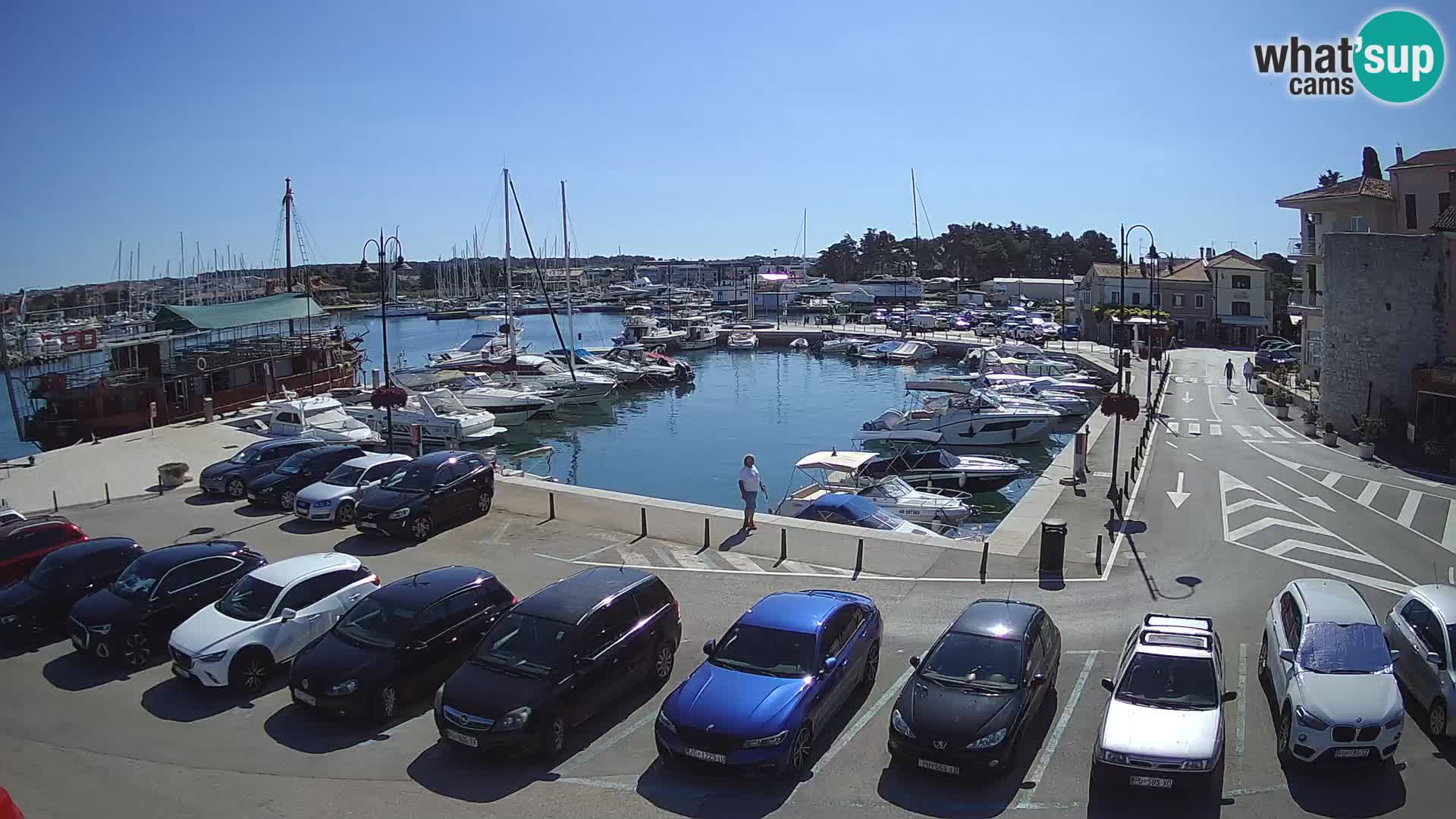 Novigrad | Porporela marina