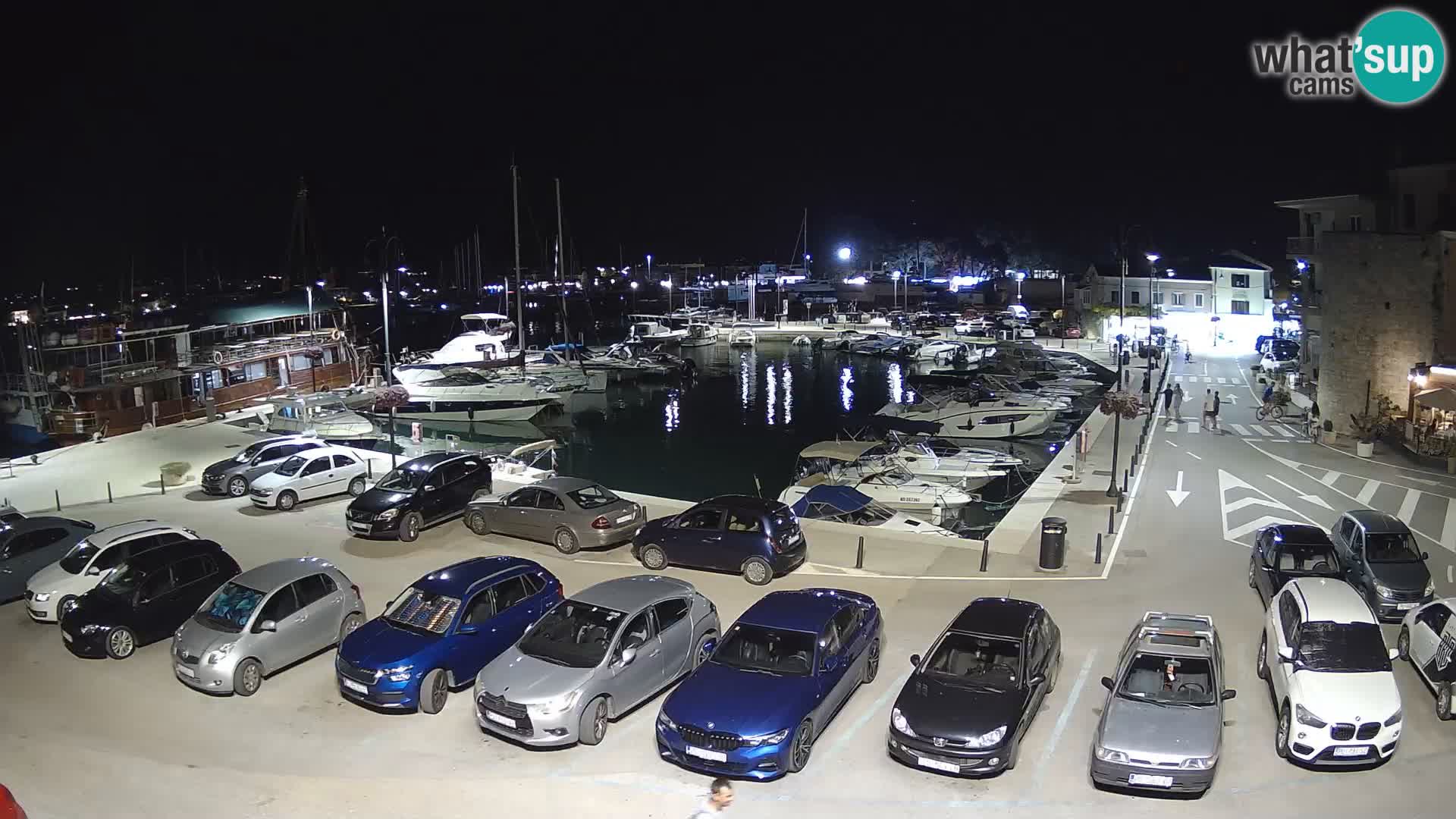 Novigrad | Porporela marina