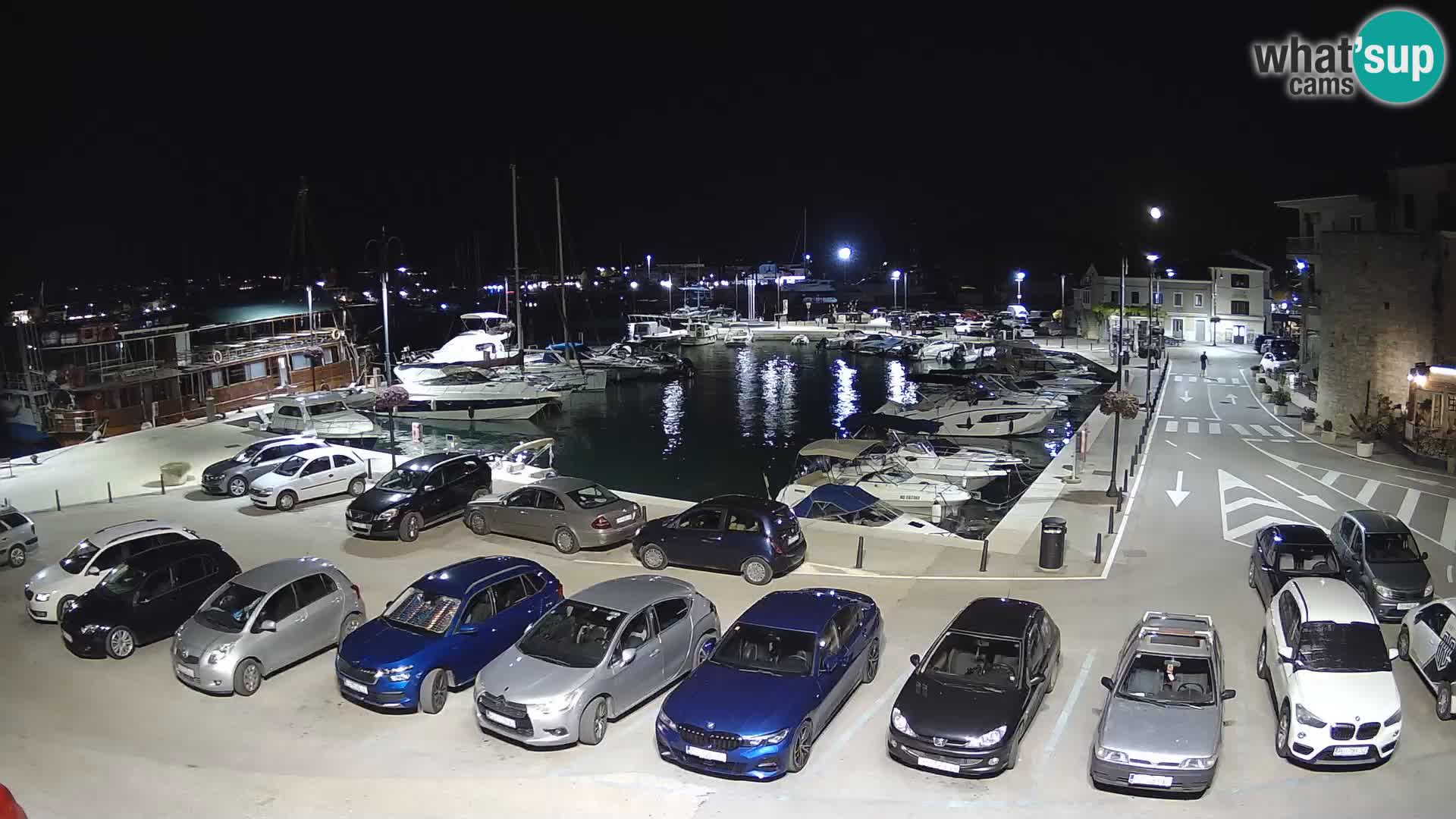 Novigrad | Porporela marina