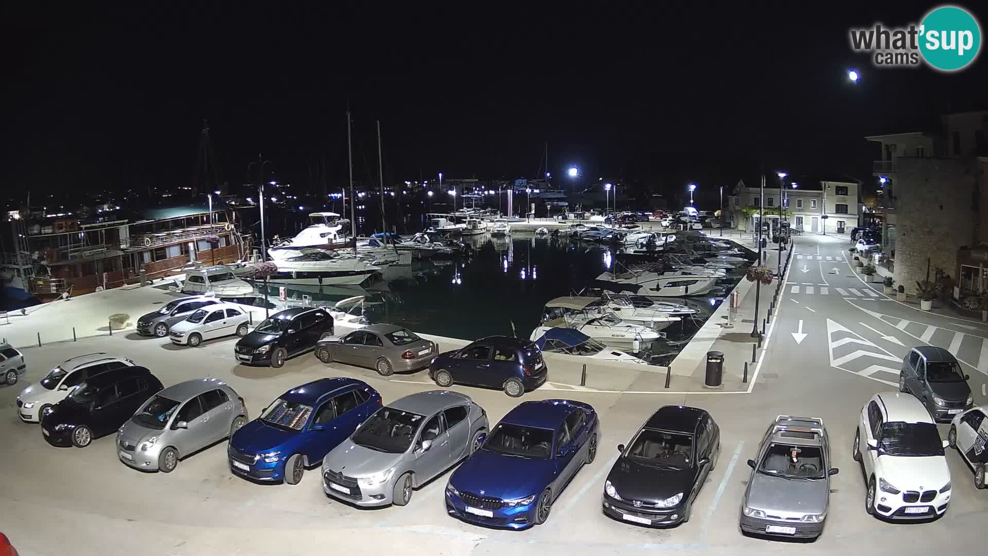 Novigrad | Porporela marina