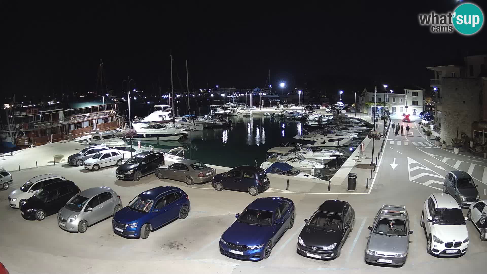 Novigrad | Porporela marina