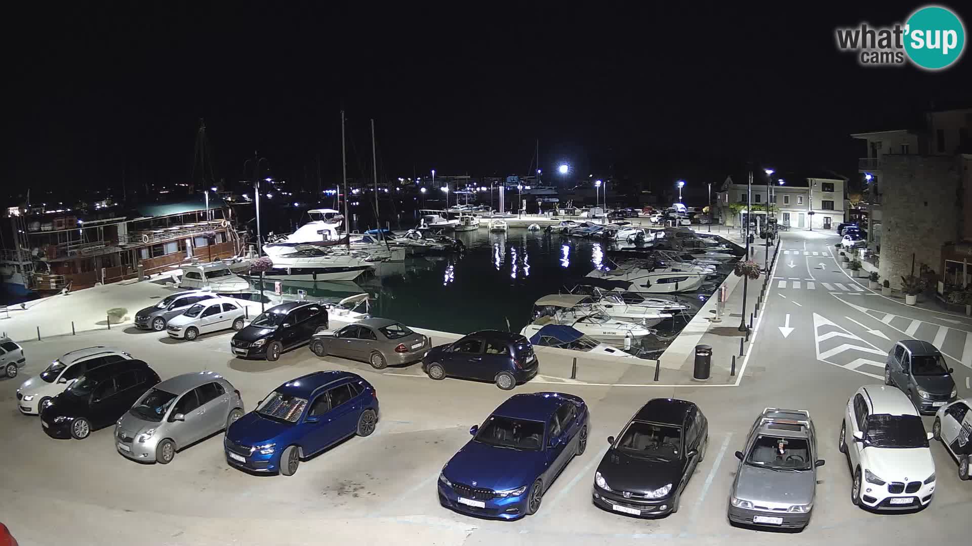 Novigrad | Porporela marina