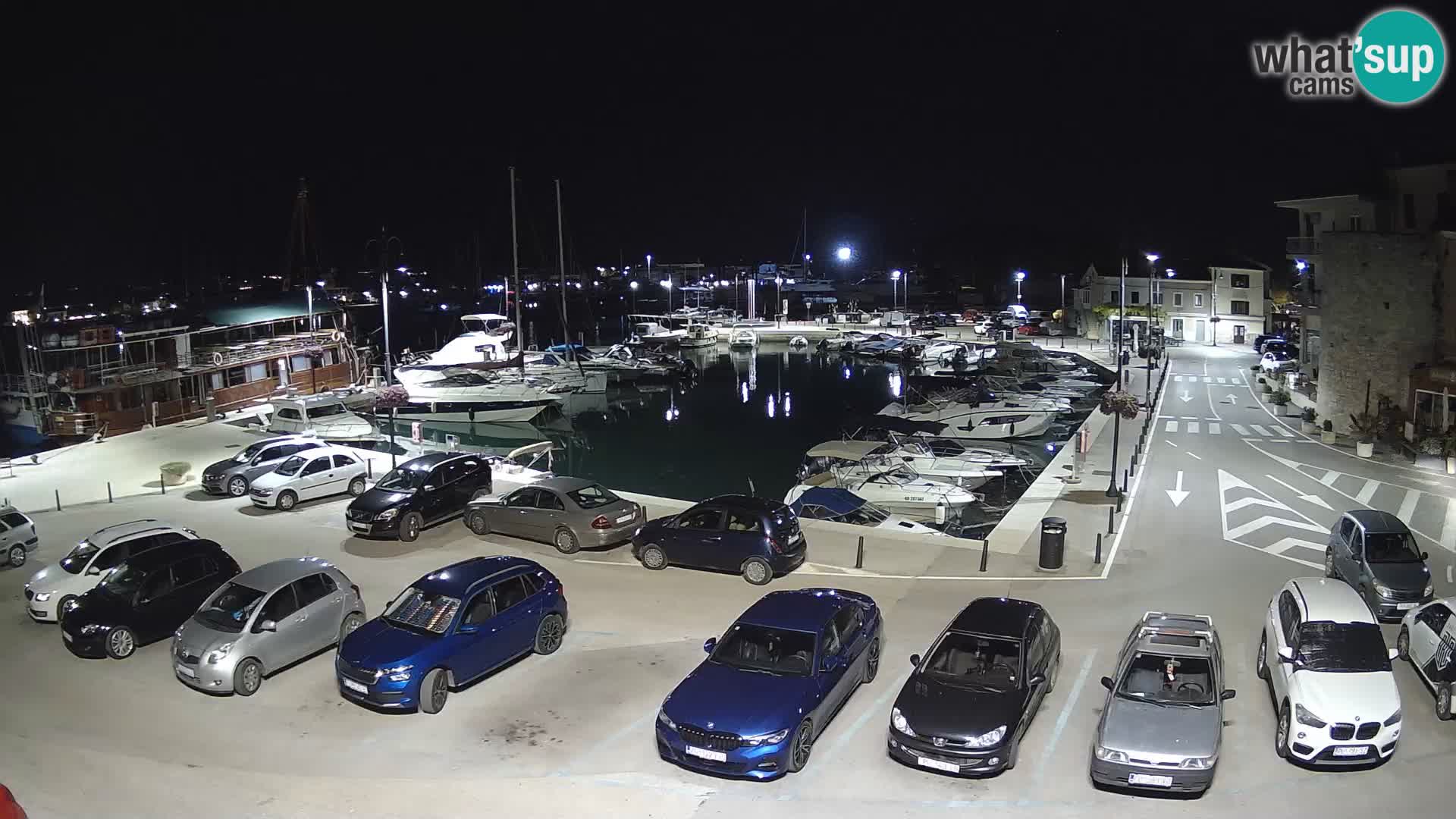 Novigrad | Porporela marina