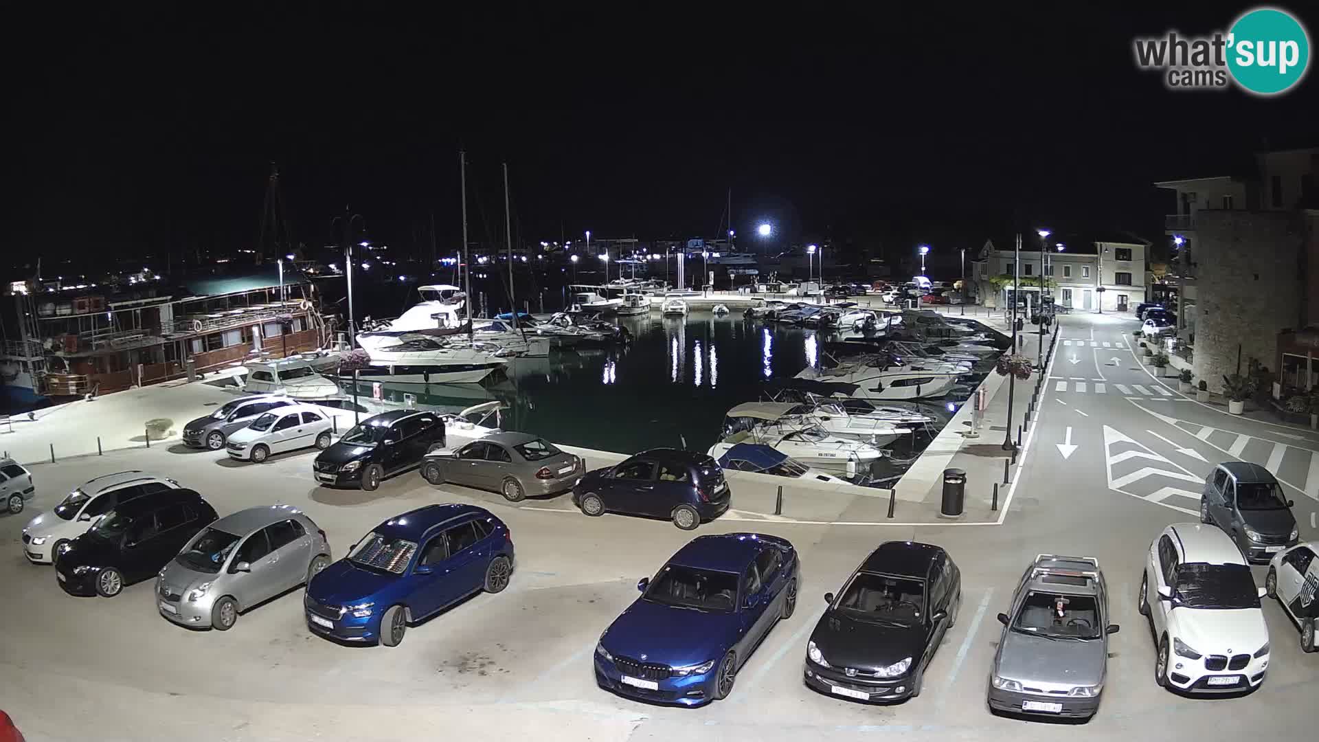 Novigrad | Porporela marina