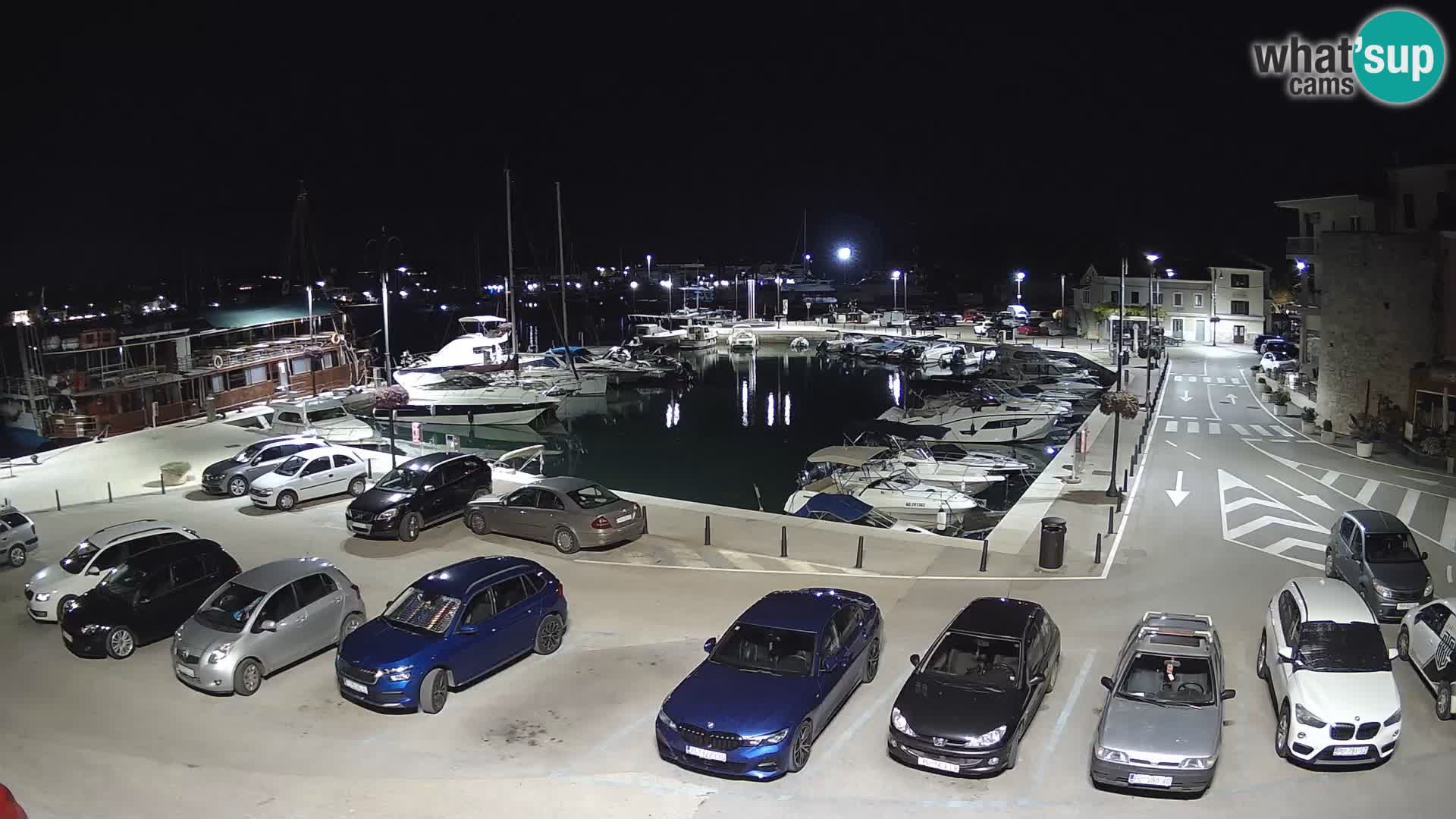 Novigrad | Porporela marina