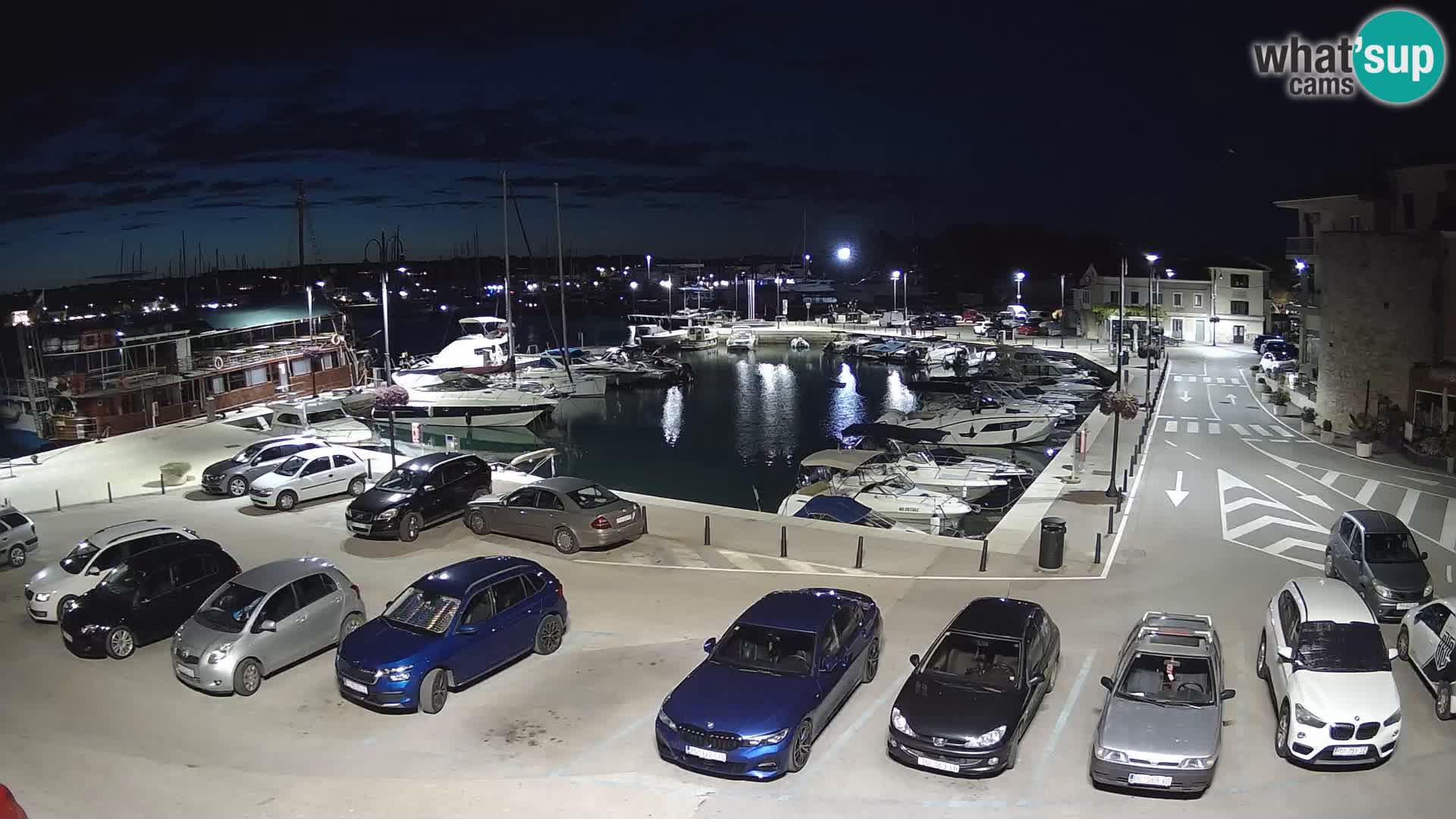 Novigrad | Porporela marina