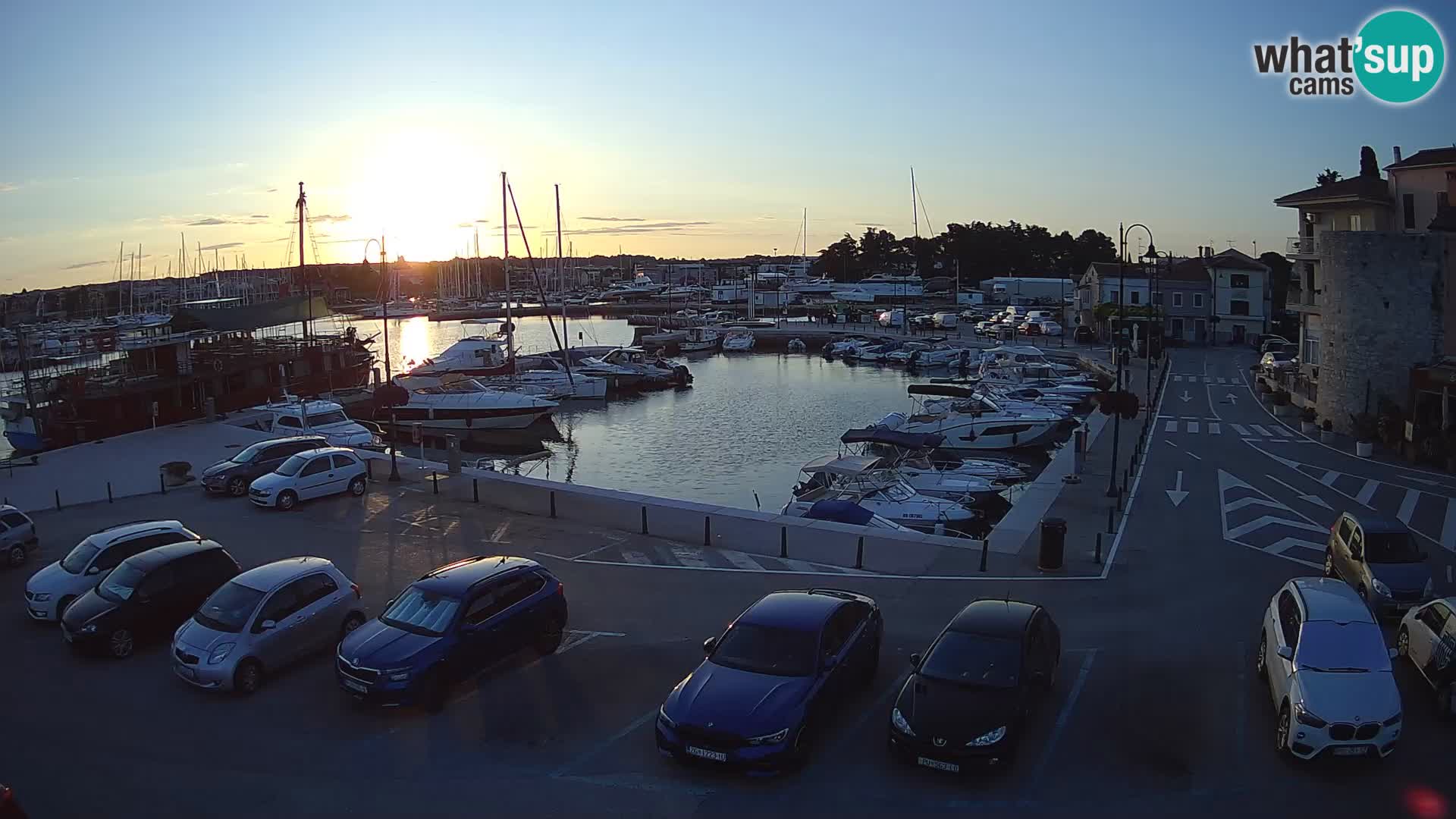 Novigrad | Porporela marina
