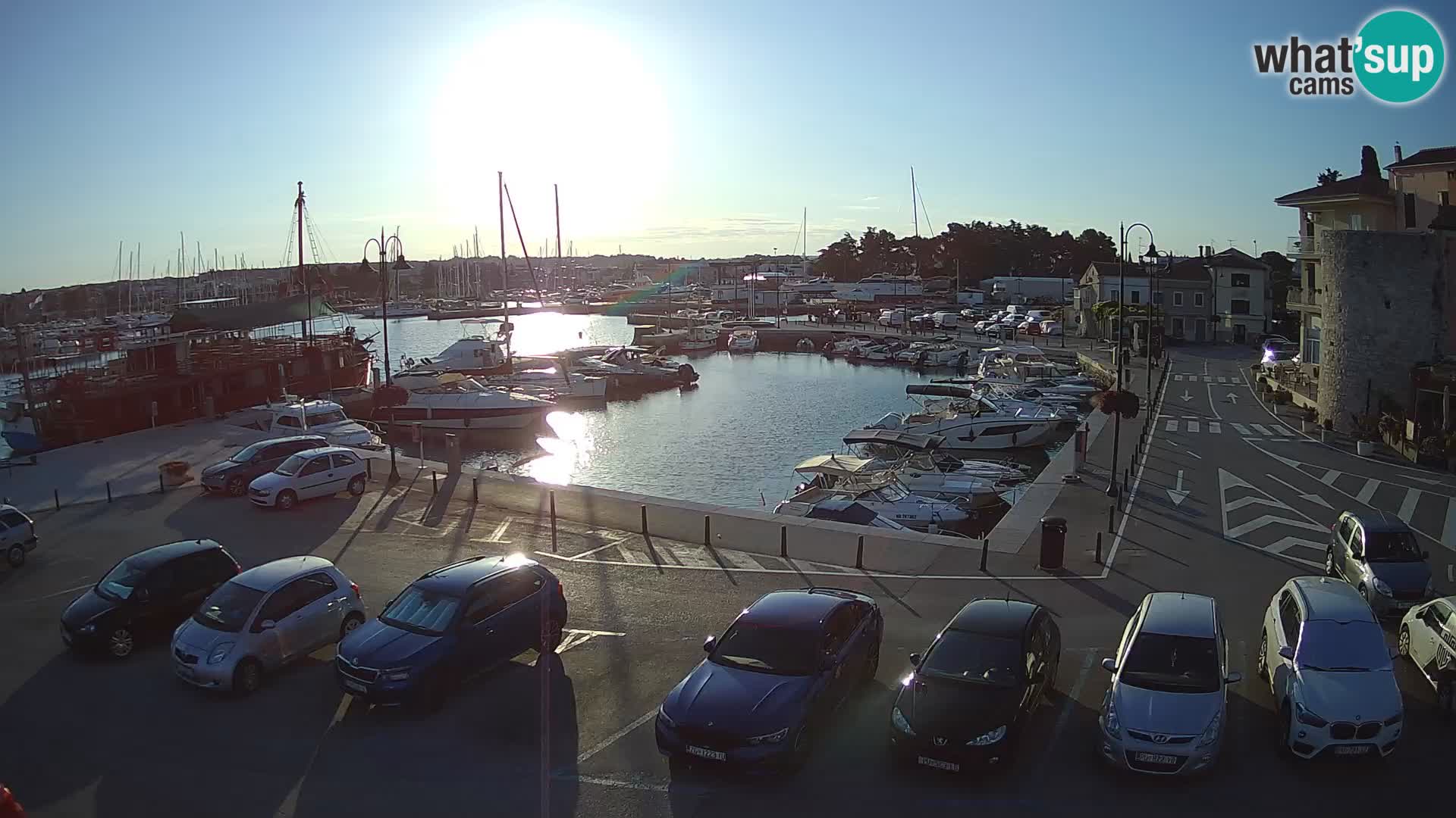 Novigrad | Porporela marina