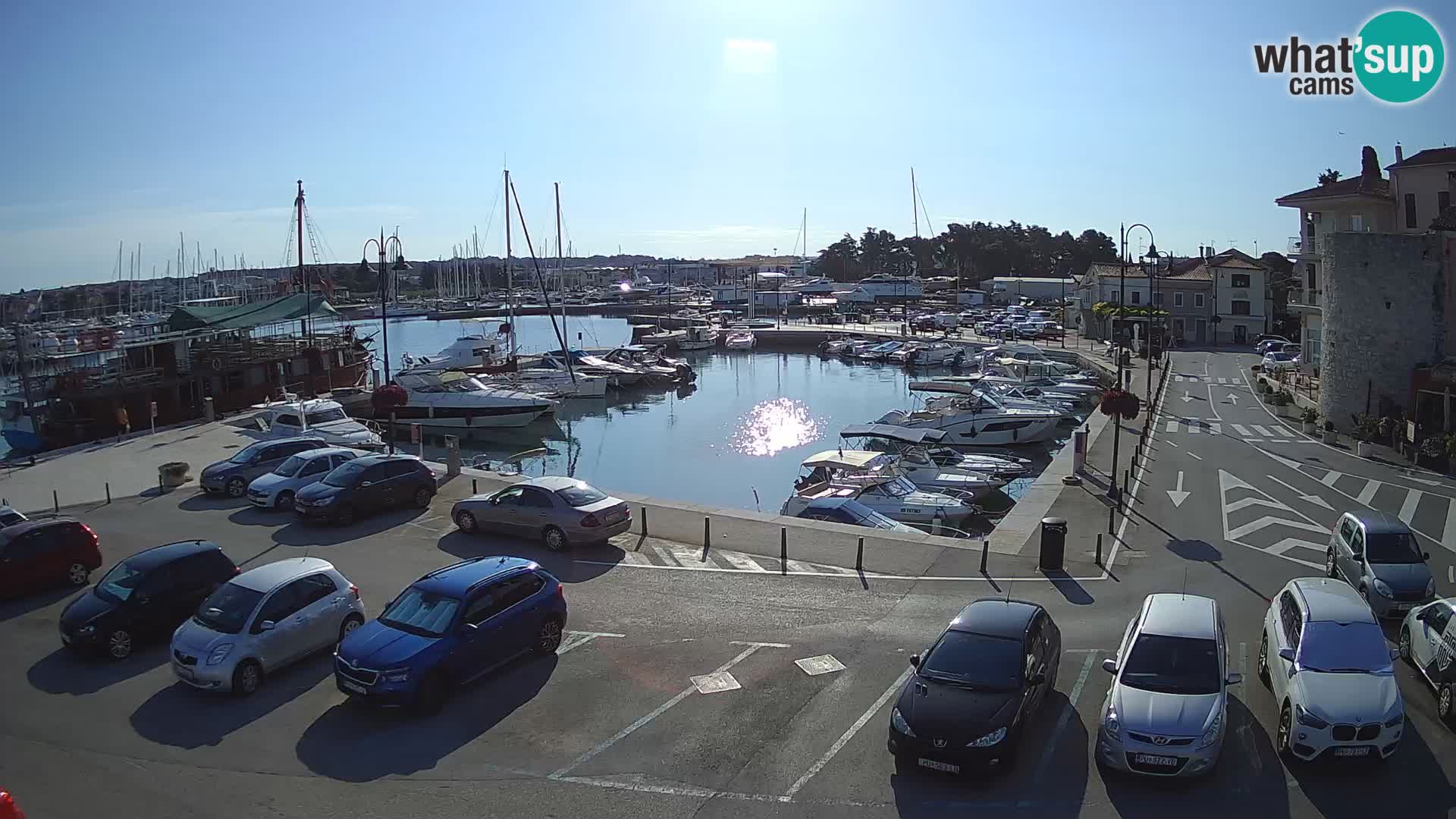 Novigrad | Porporela marina