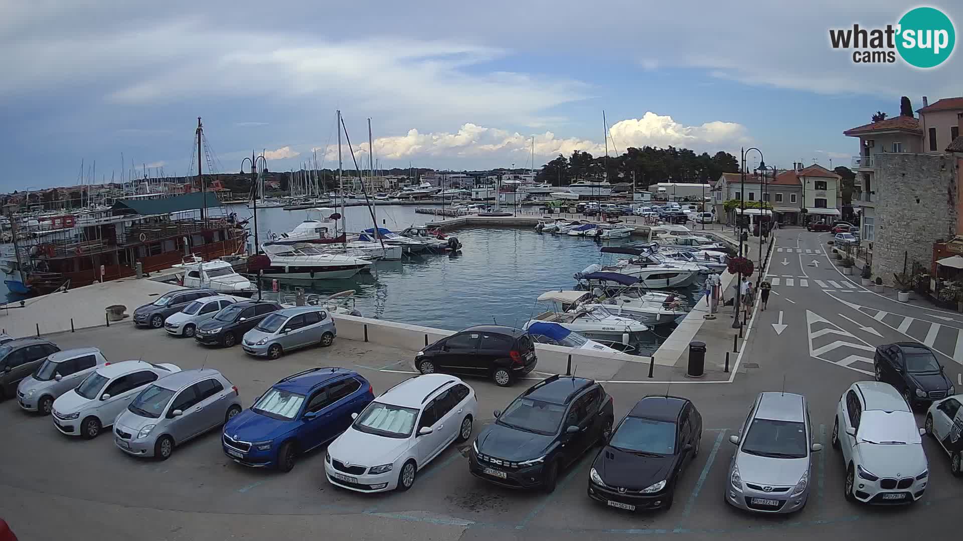 Novigrad | Porporela marina
