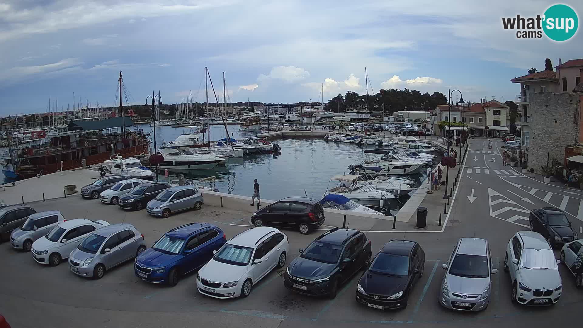 Novigrad | Porporela marina