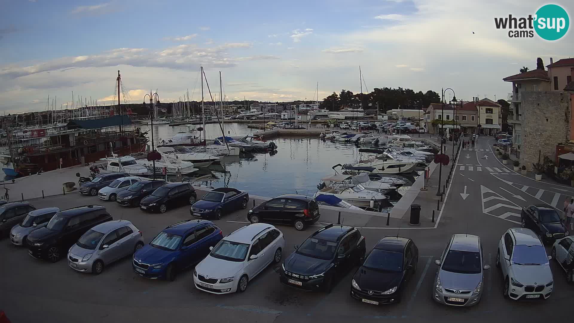 Novigrad | Porporela marina