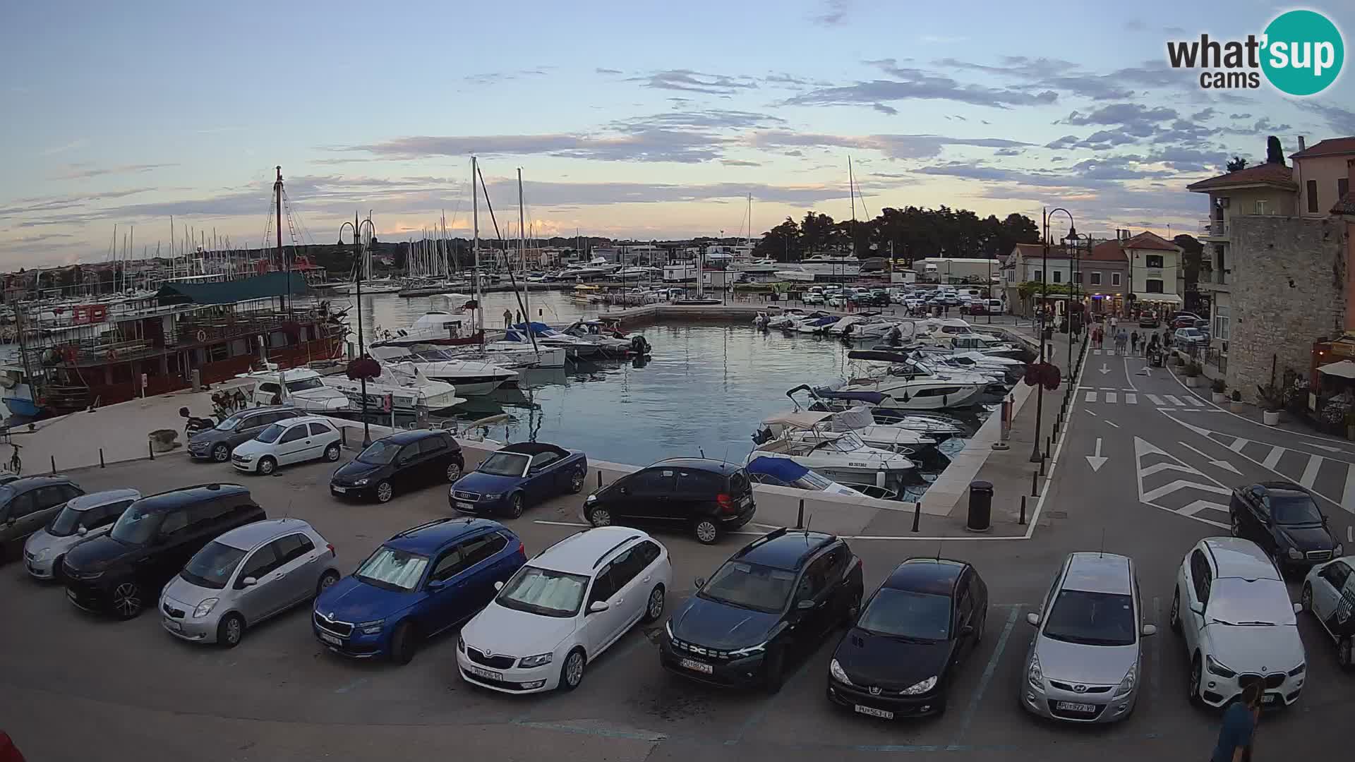 Novigrad | Porporela marina