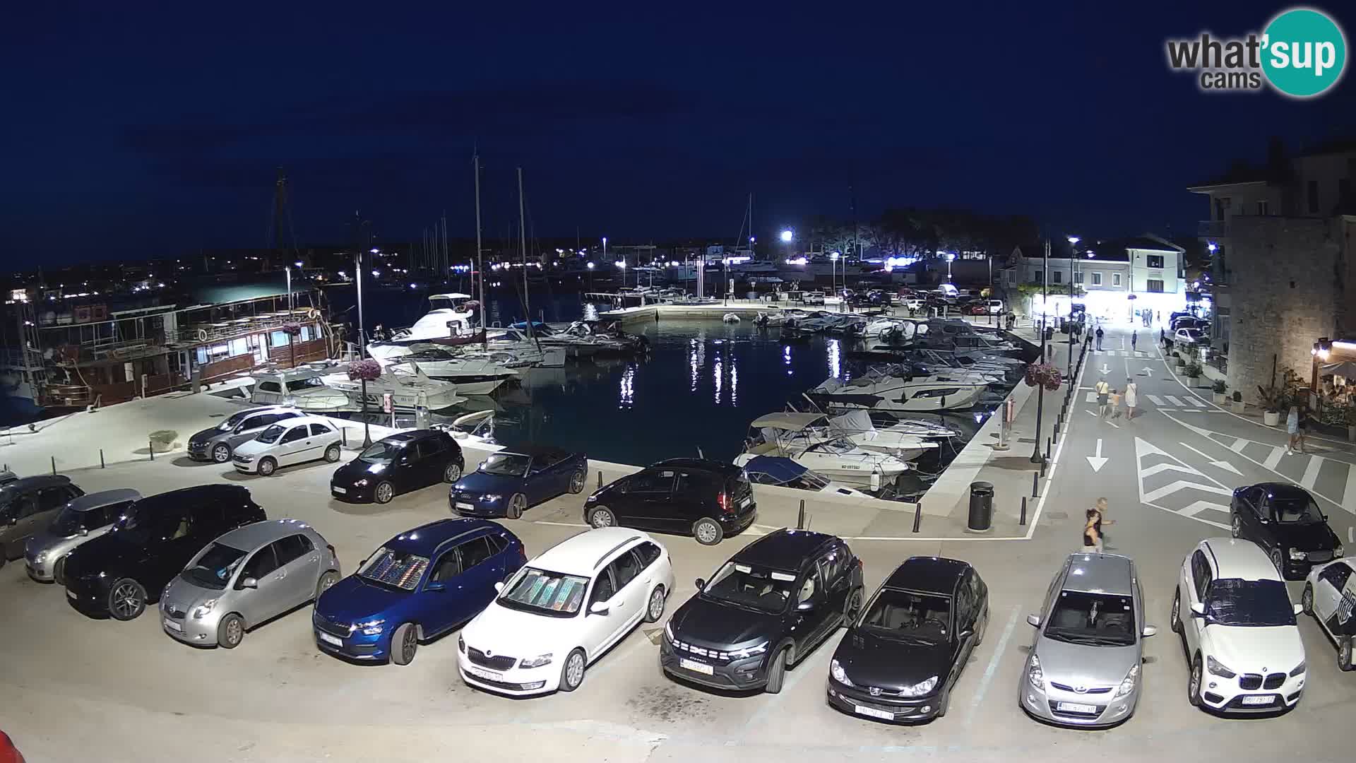 Novigrad | Porporela marina