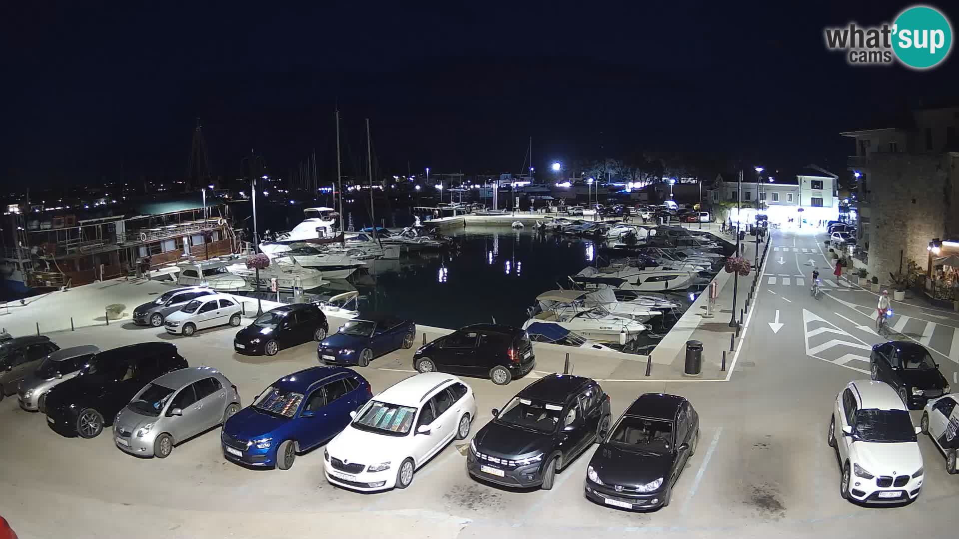 Novigrad | Porporela marina