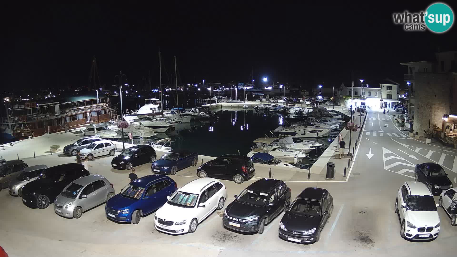Novigrad | Porporela marina