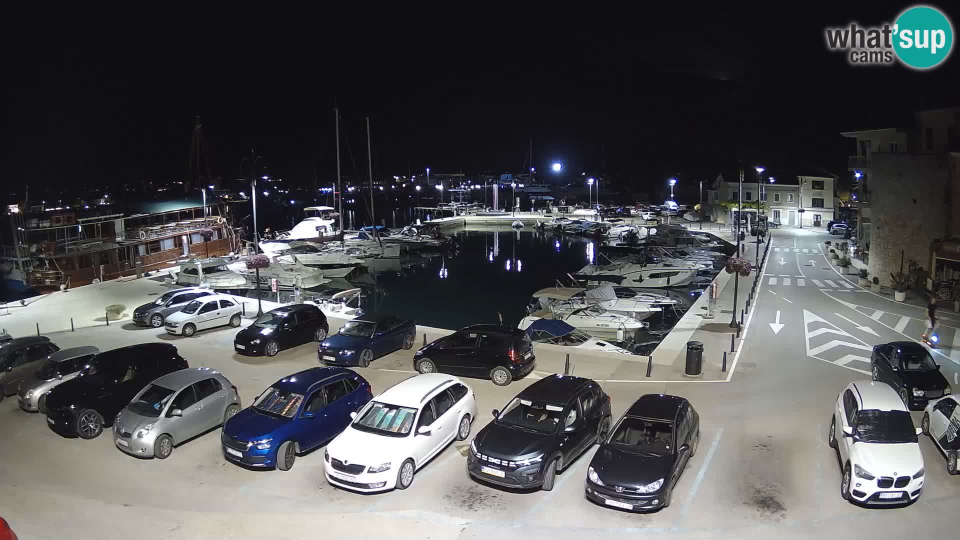 Novigrad | Porporela marina