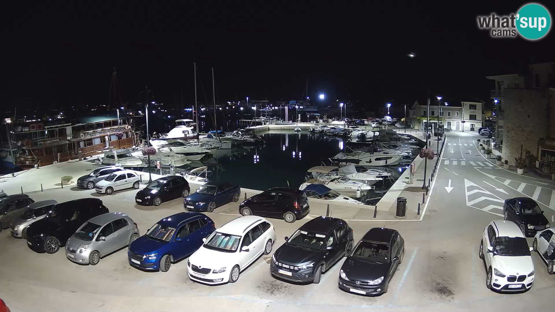 Novigrad | Porporela marina