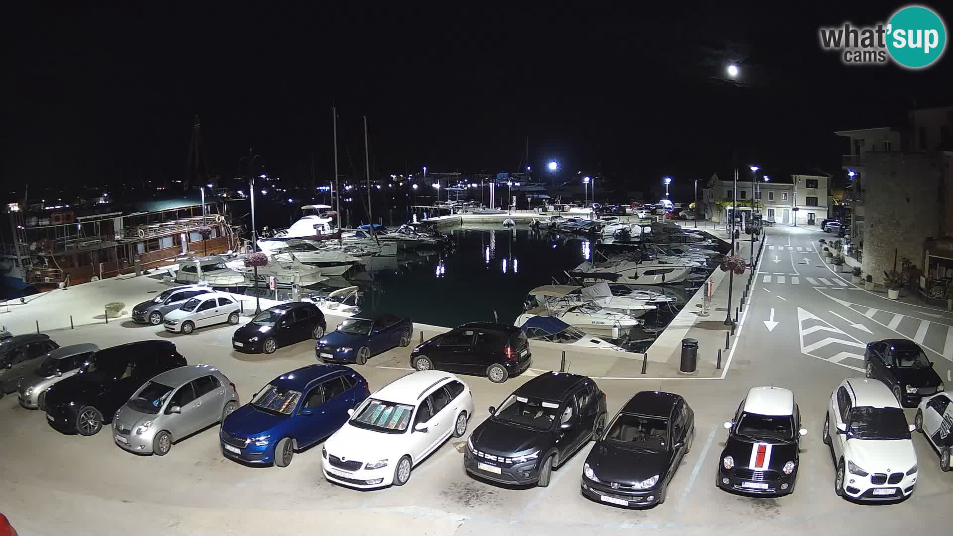 Novigrad | Porporela marina