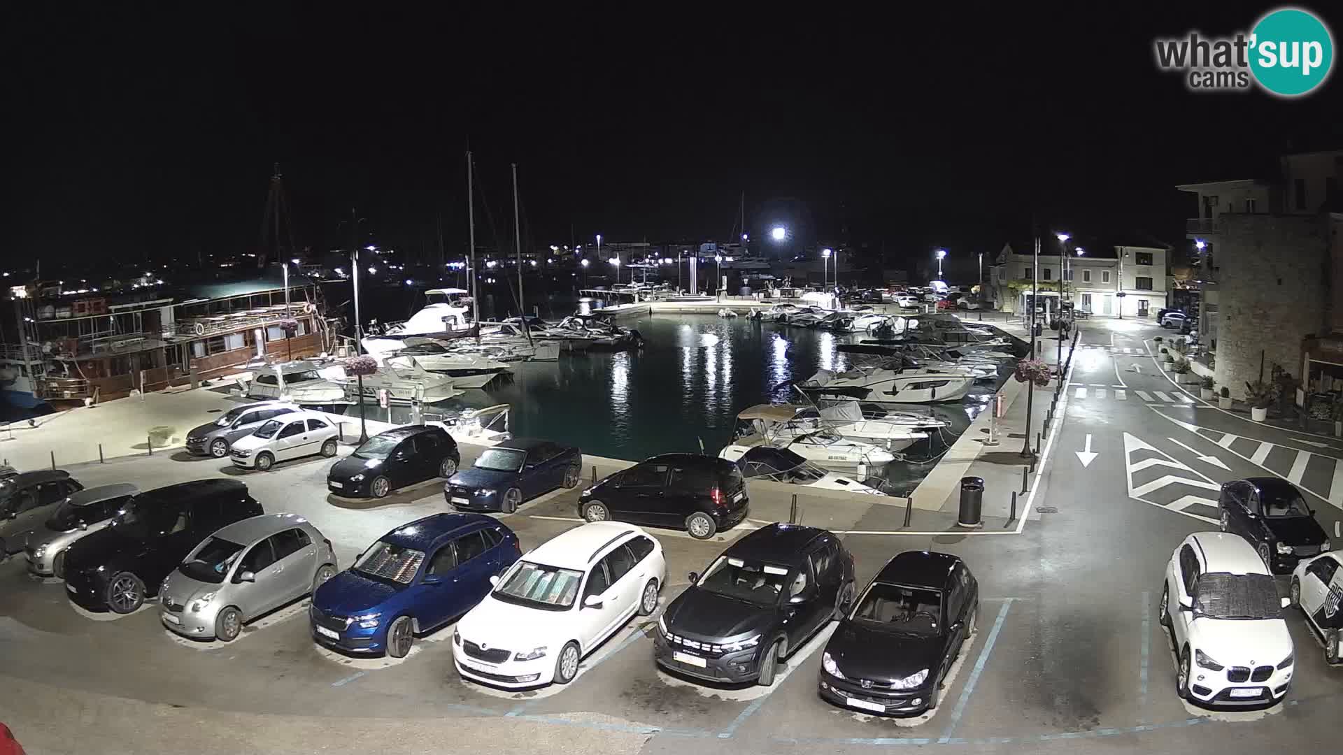 Novigrad | Porporela marina