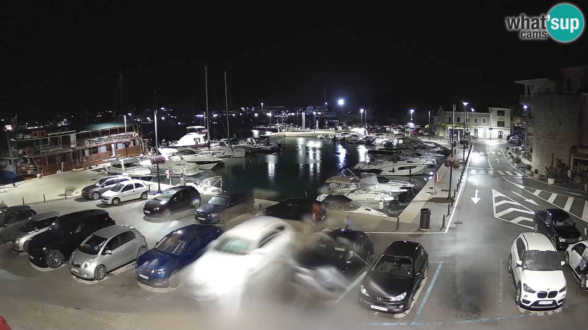 Novigrad | Porporela marina