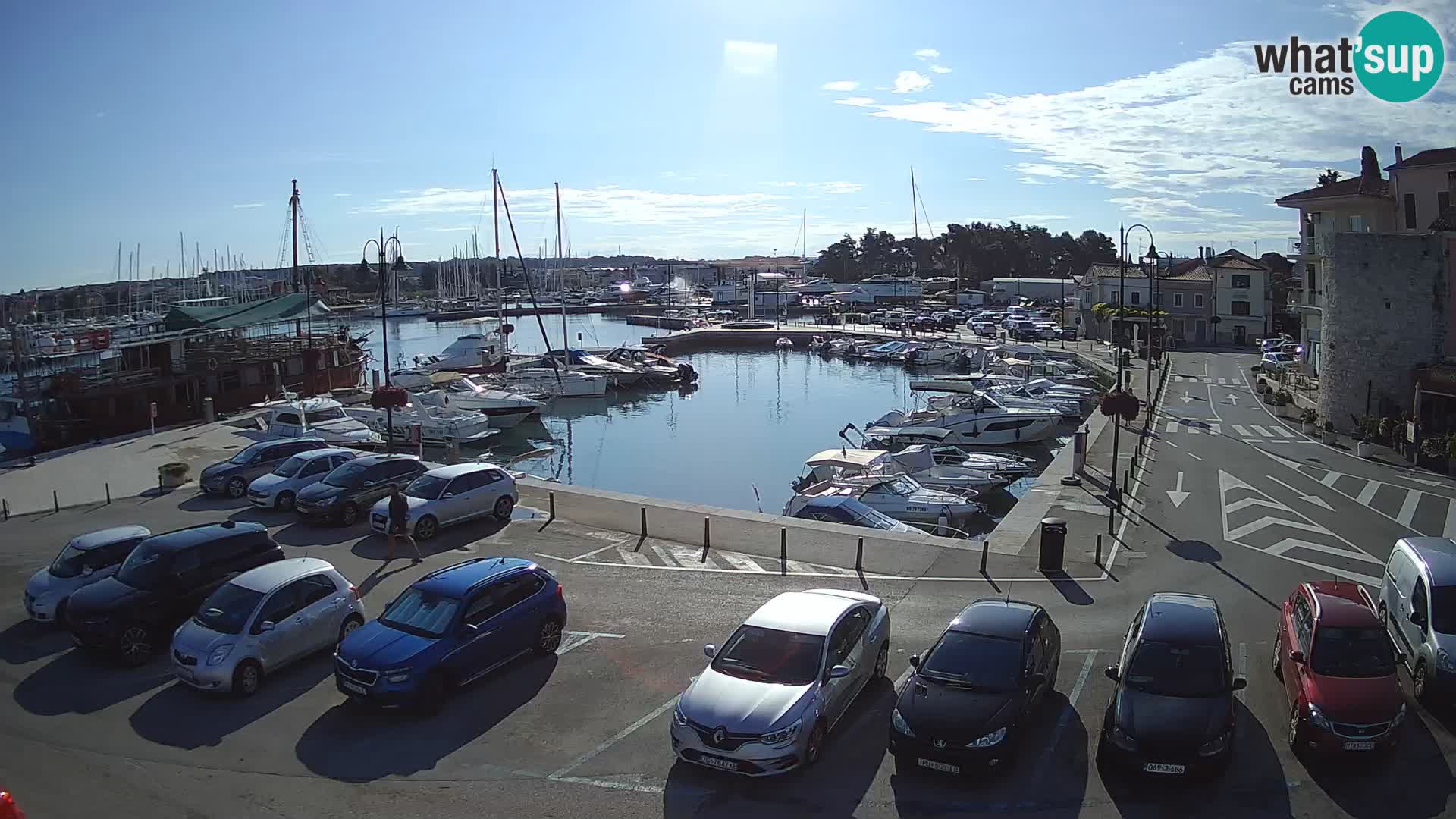 Novigrad | Porporela marina