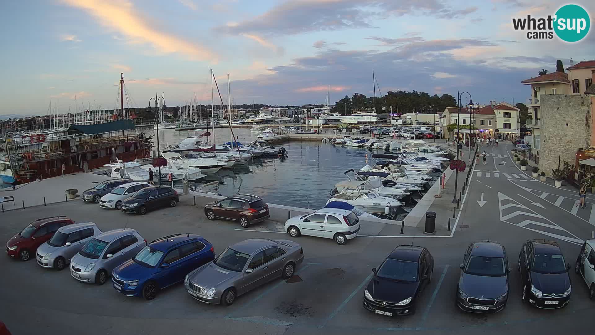 Novigrad | Porporela marina