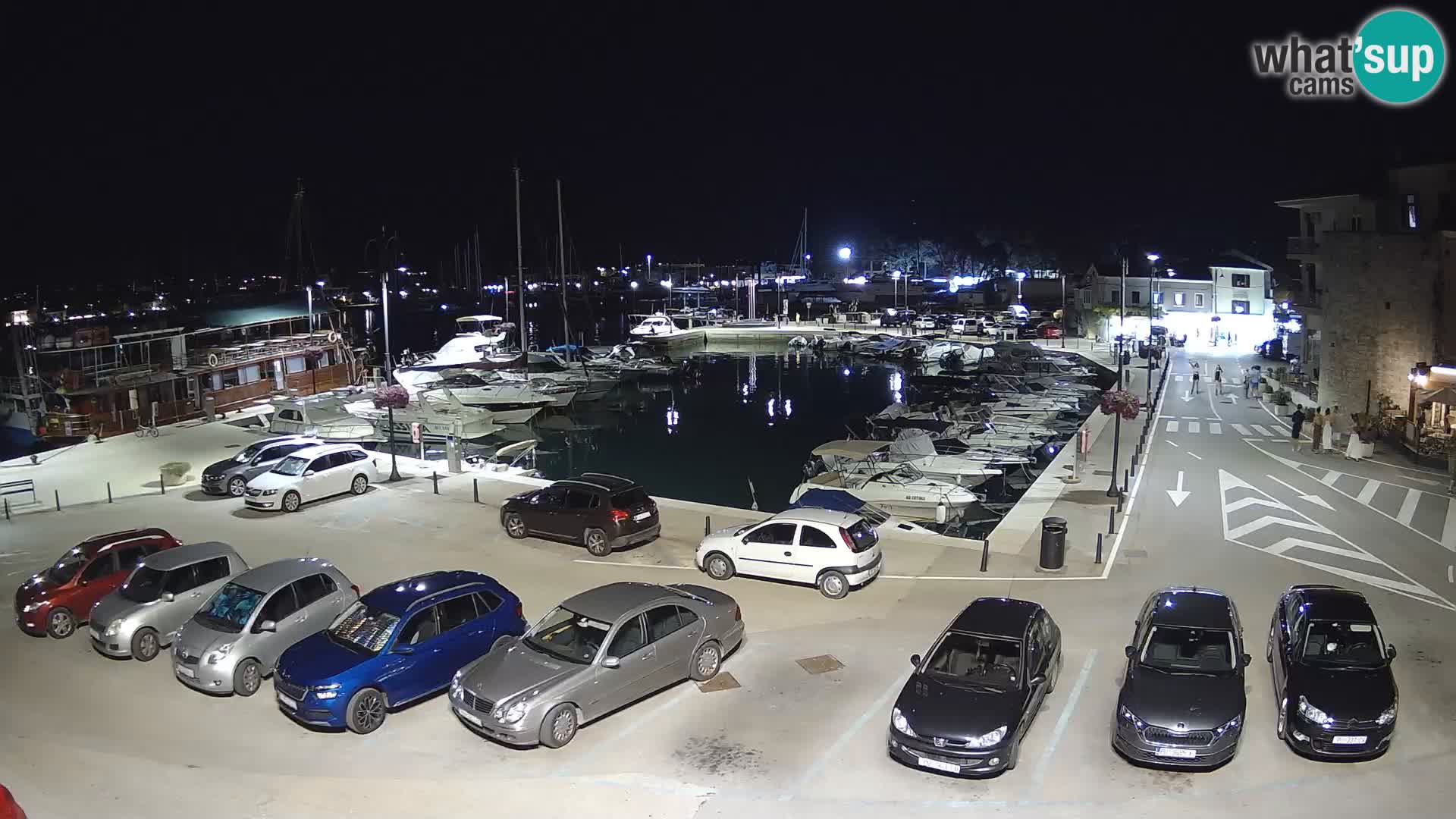 Novigrad | Porporela marina