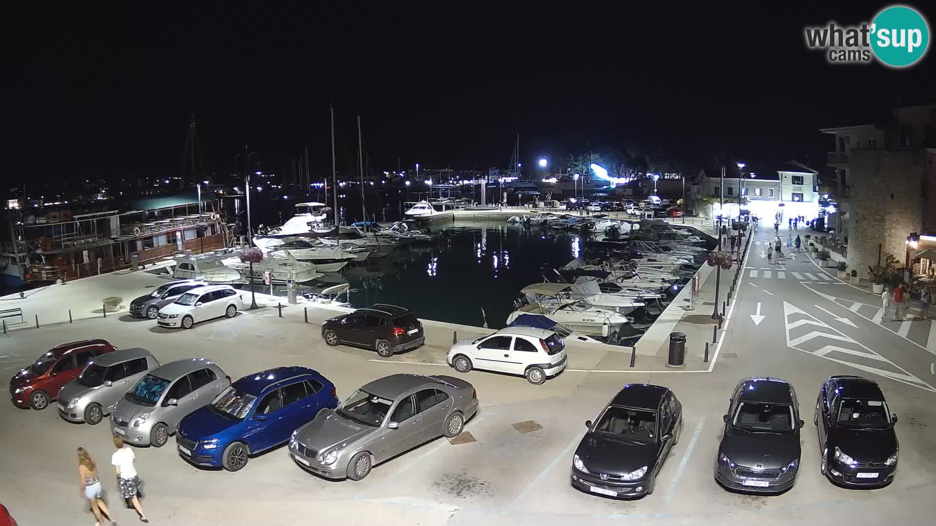 Novigrad | Porporela marina
