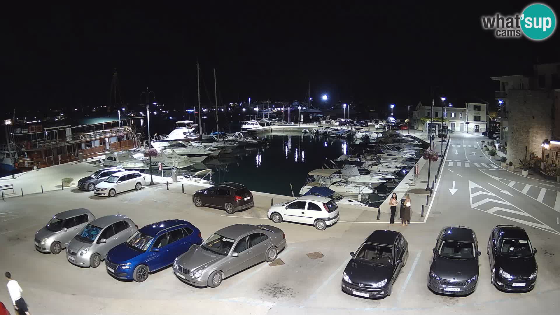 Novigrad | Porporela marina