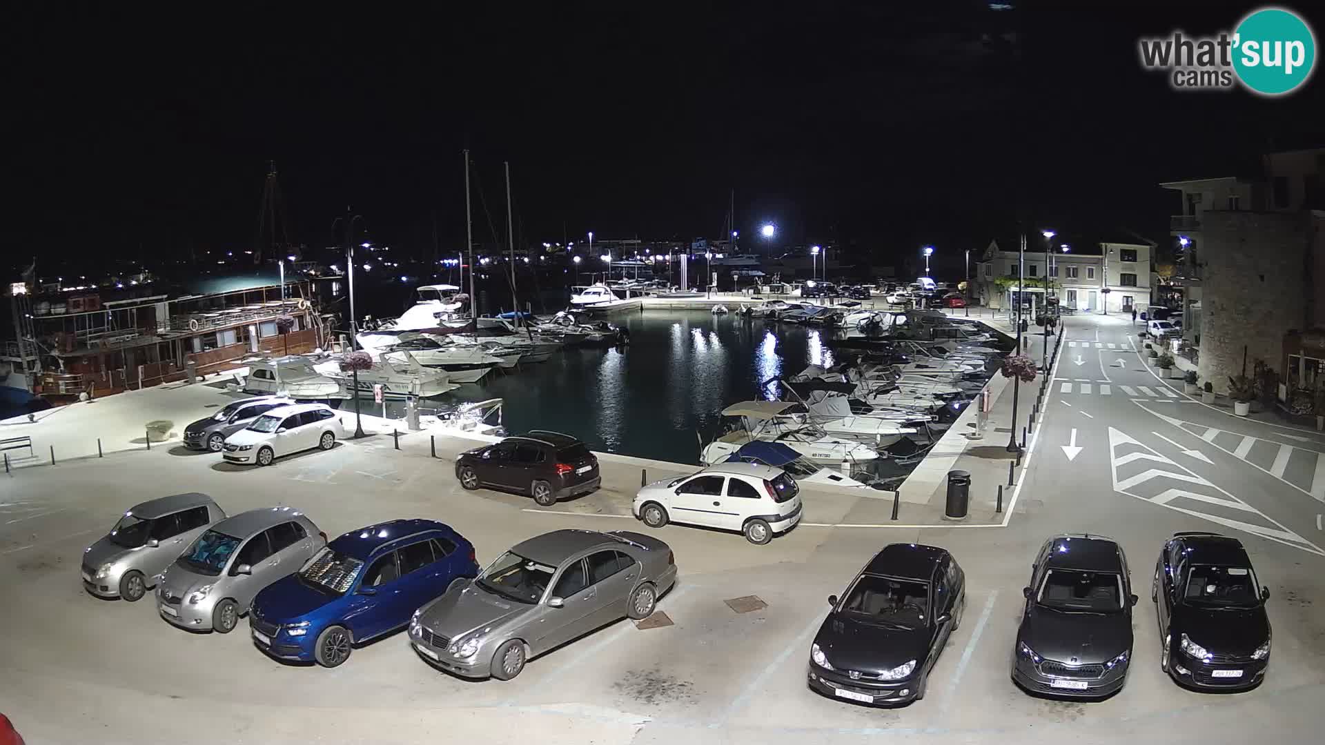 Novigrad | Porporela marina